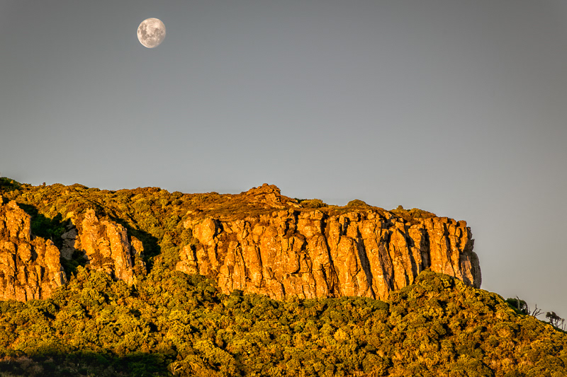 Last light on cliffs above Summit Rd, Akaroa - Banks Peninsula