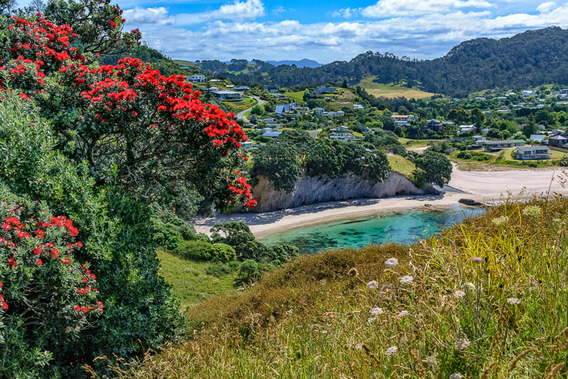 Otama, Coromandel Peninsula - Waikato