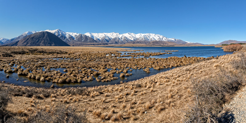 Lake Heron - Canterbury