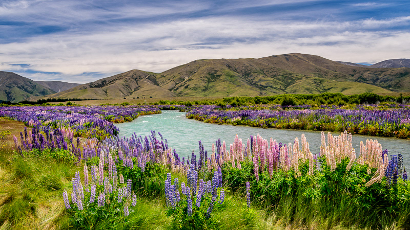 Ahuriri River, Omarama - Otago