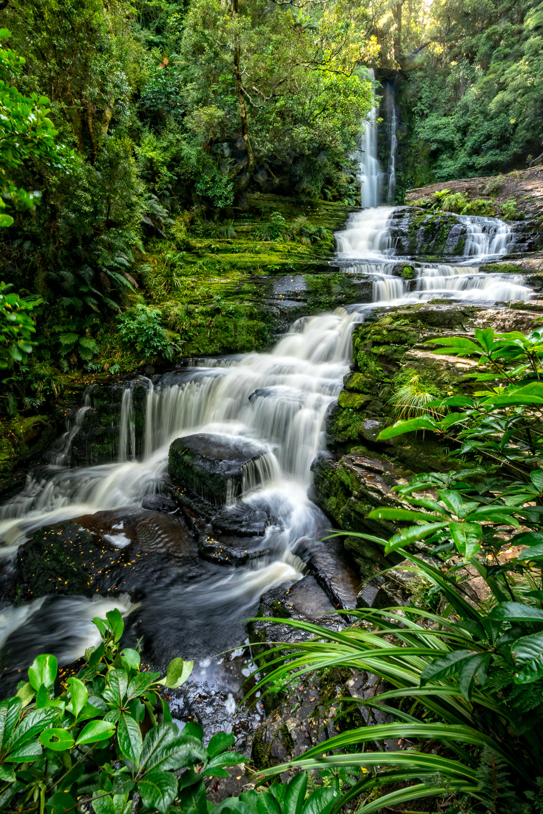 Upper Falls, McLean Falls - Catlins, Otago