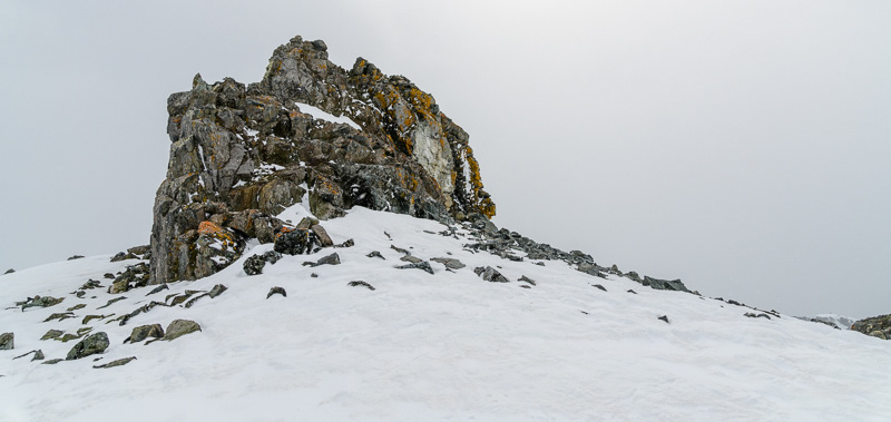 Half Moon Island - South Shetland Islands