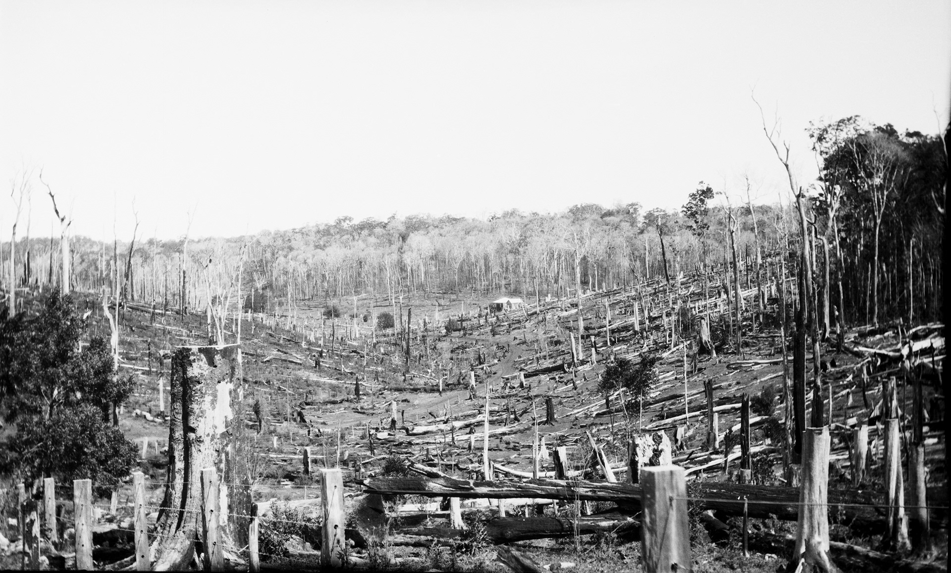 Widening of Woodford-Kilcoy Road, photograph showing a valley of logged trees