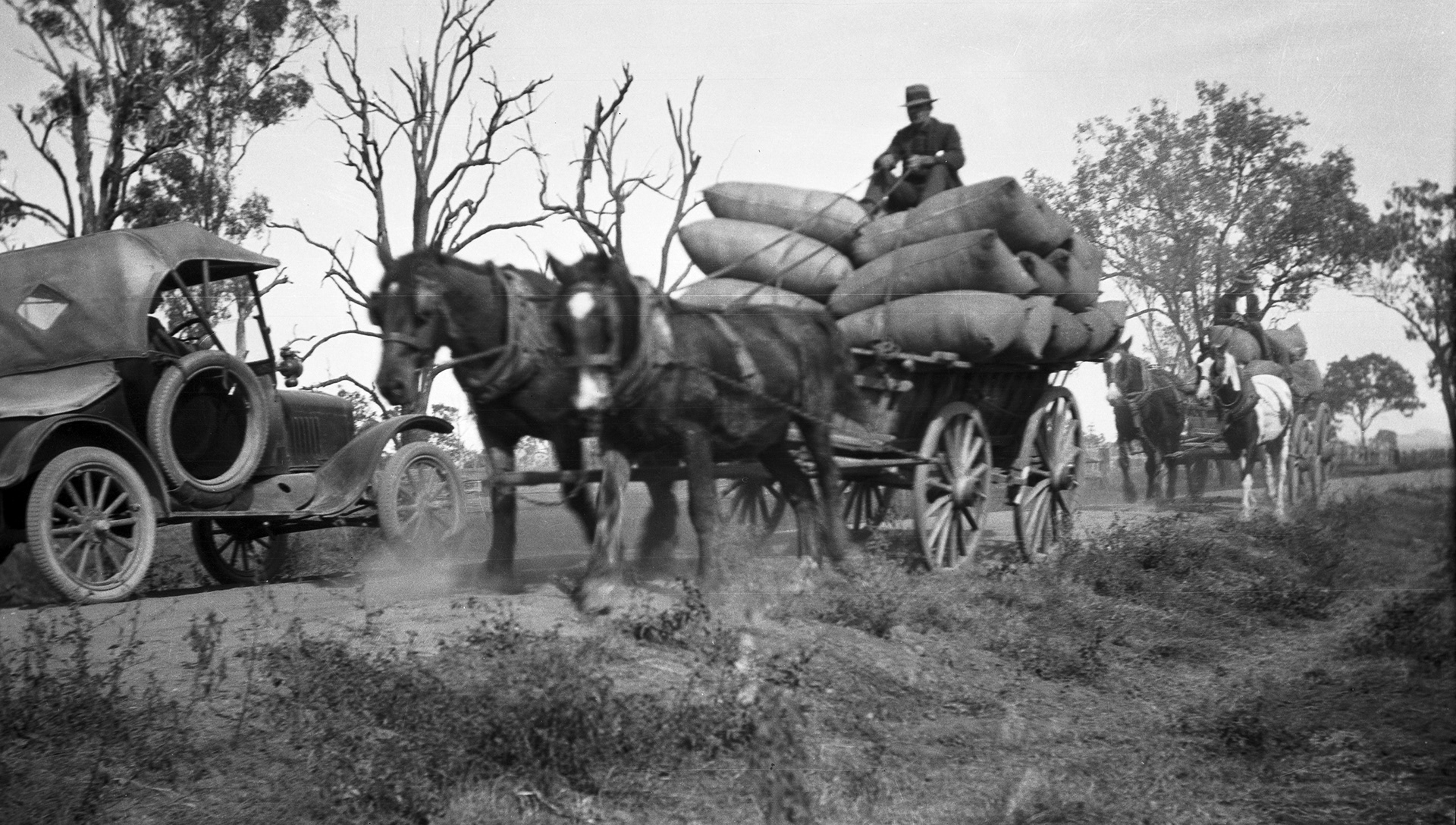 Car and horse drawn wagon, When the old meets the new cotton haulage south of Gatton 1924