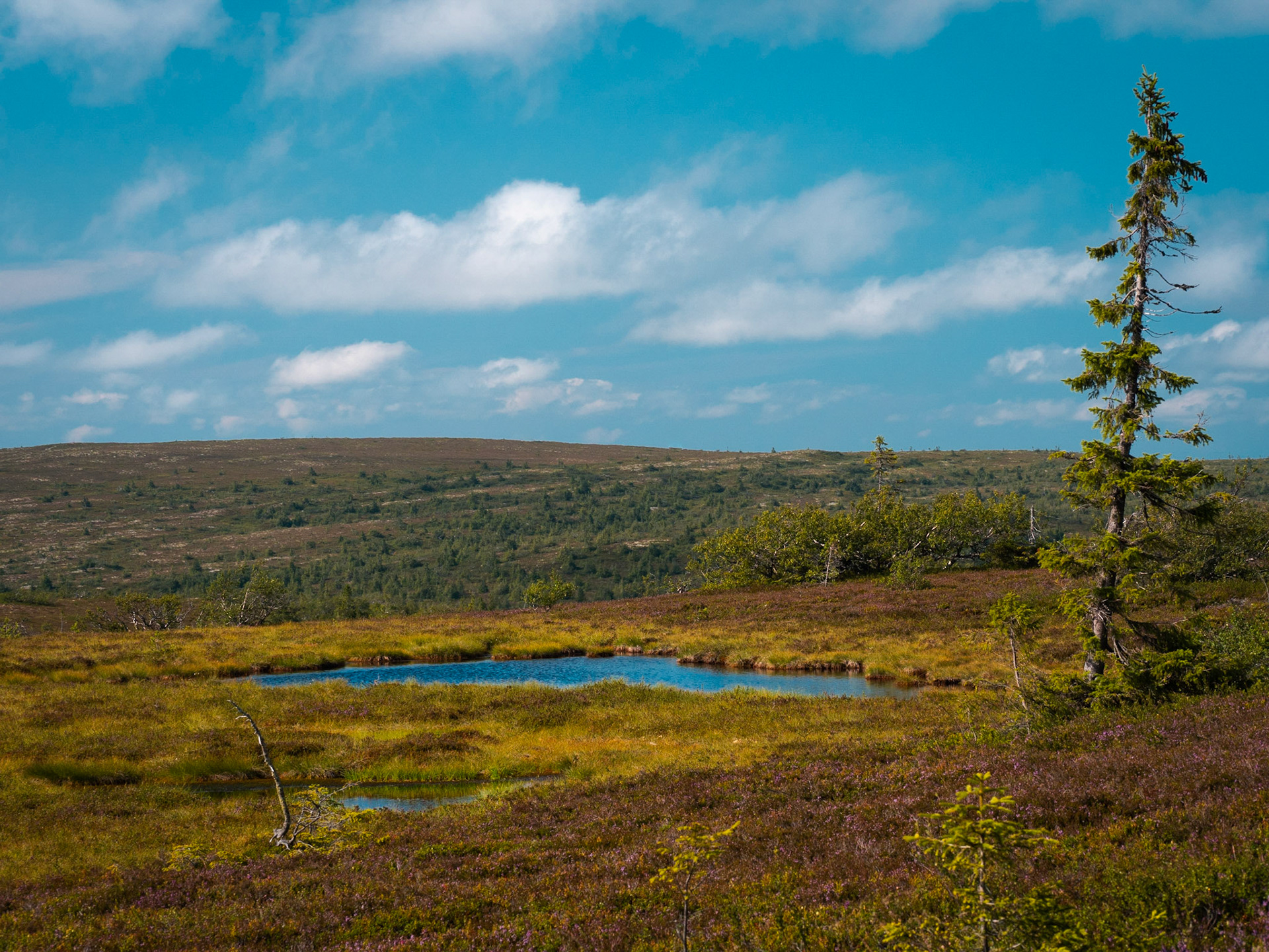 Södra Kungsleden, Sälen