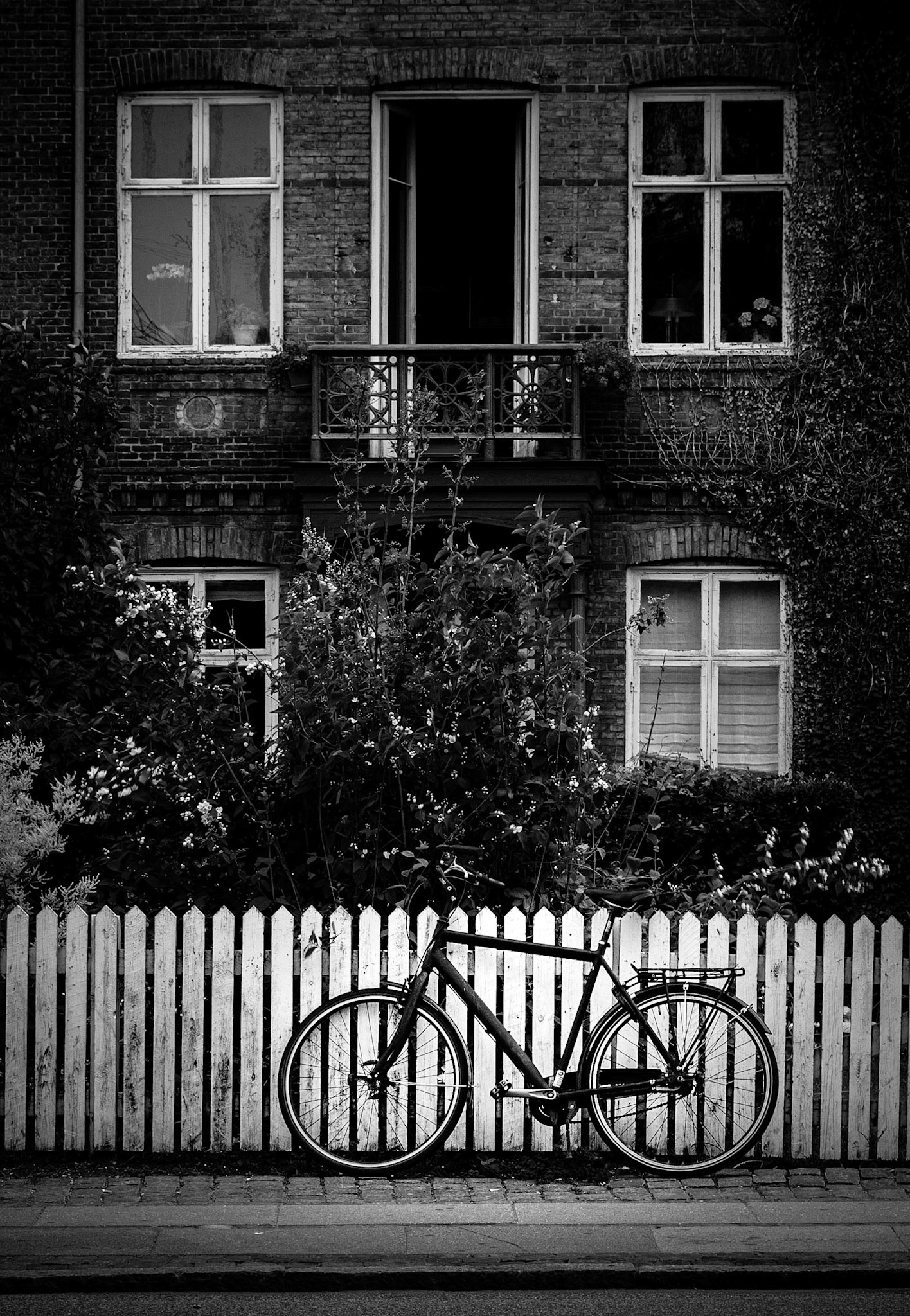Bike on Fence  Frederiksberg Denmark