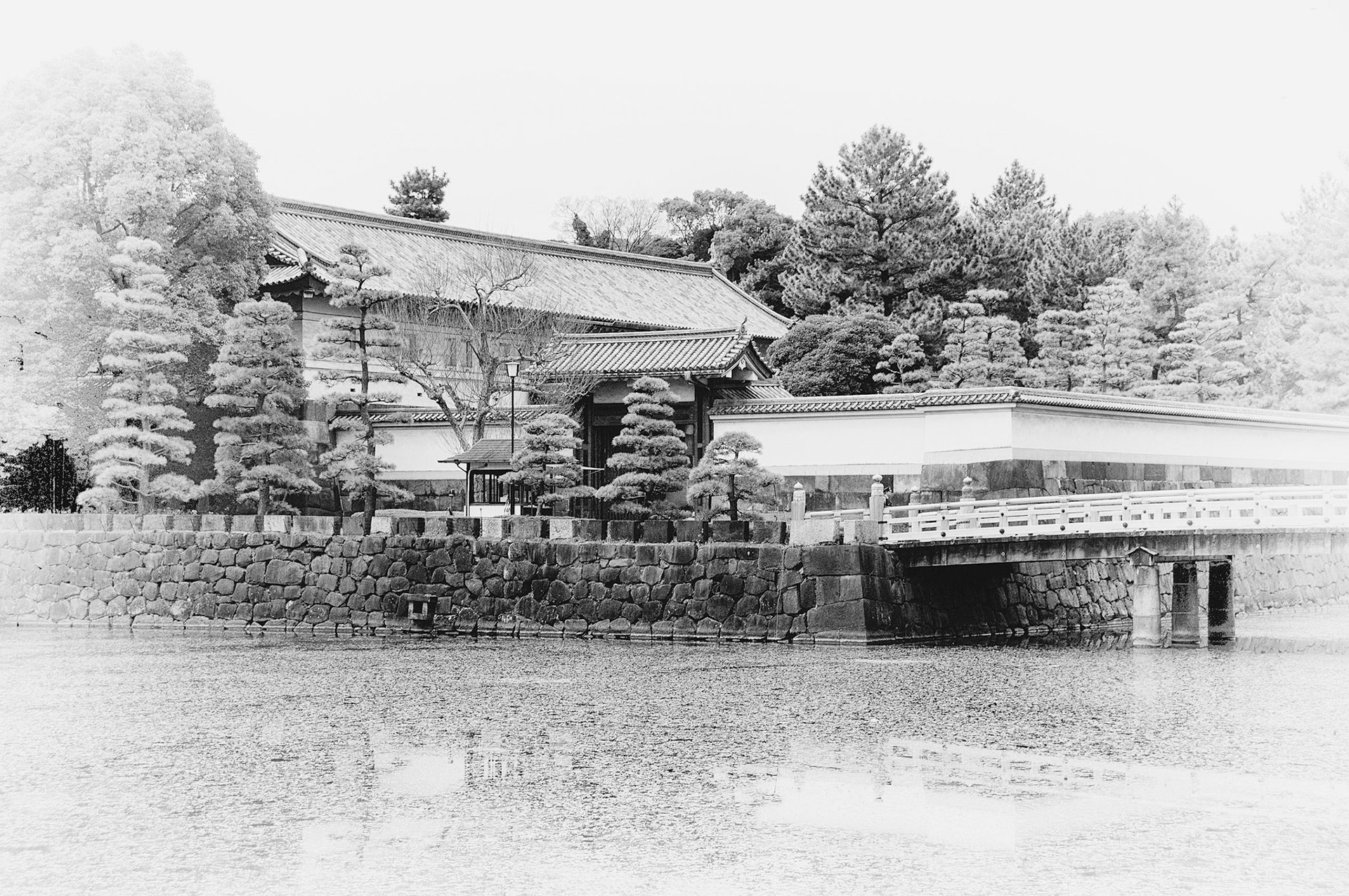 Bridge to the  History