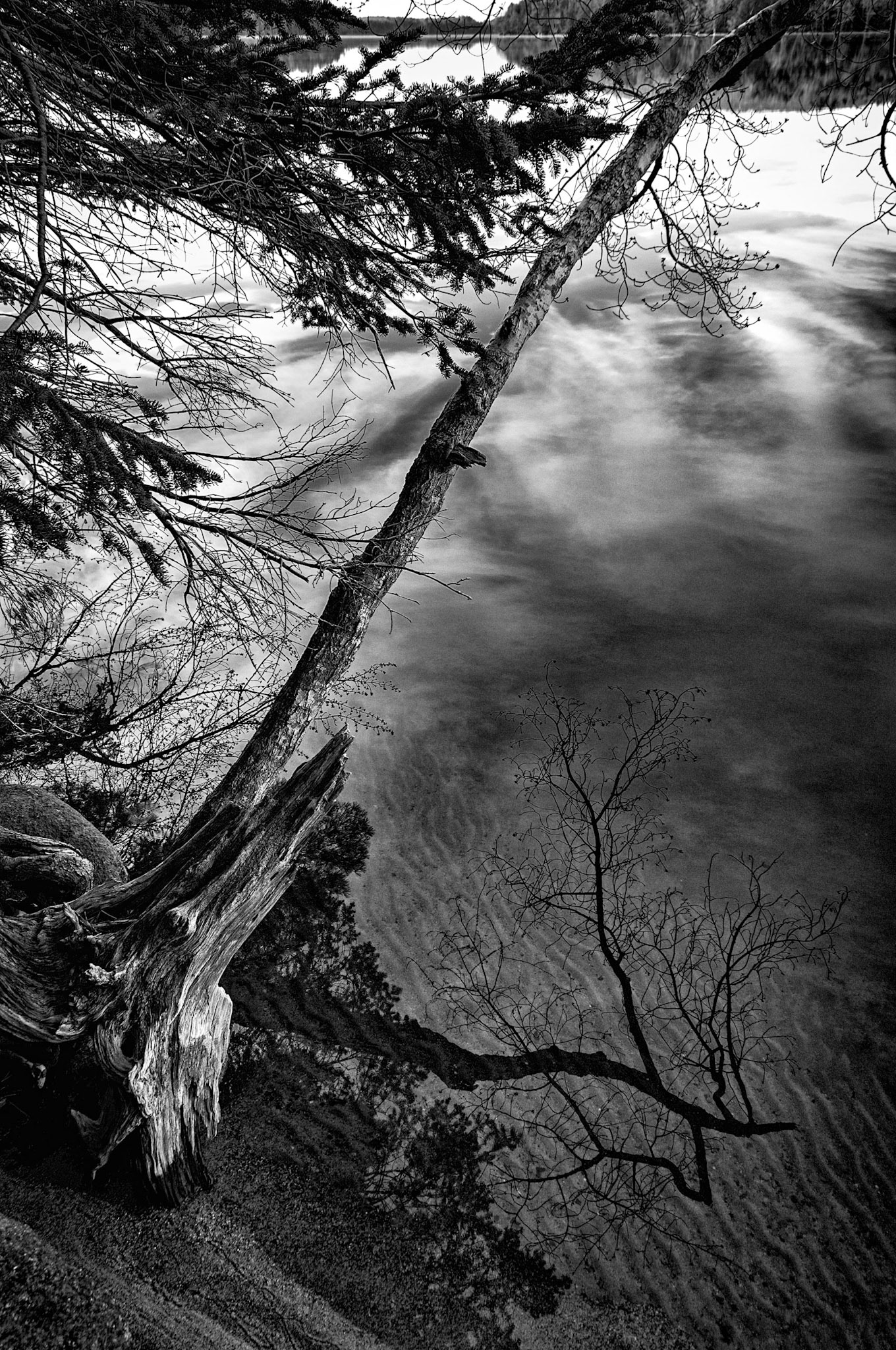 Waters Edge Reflections, Kejimkujik National Park Nova Scotia