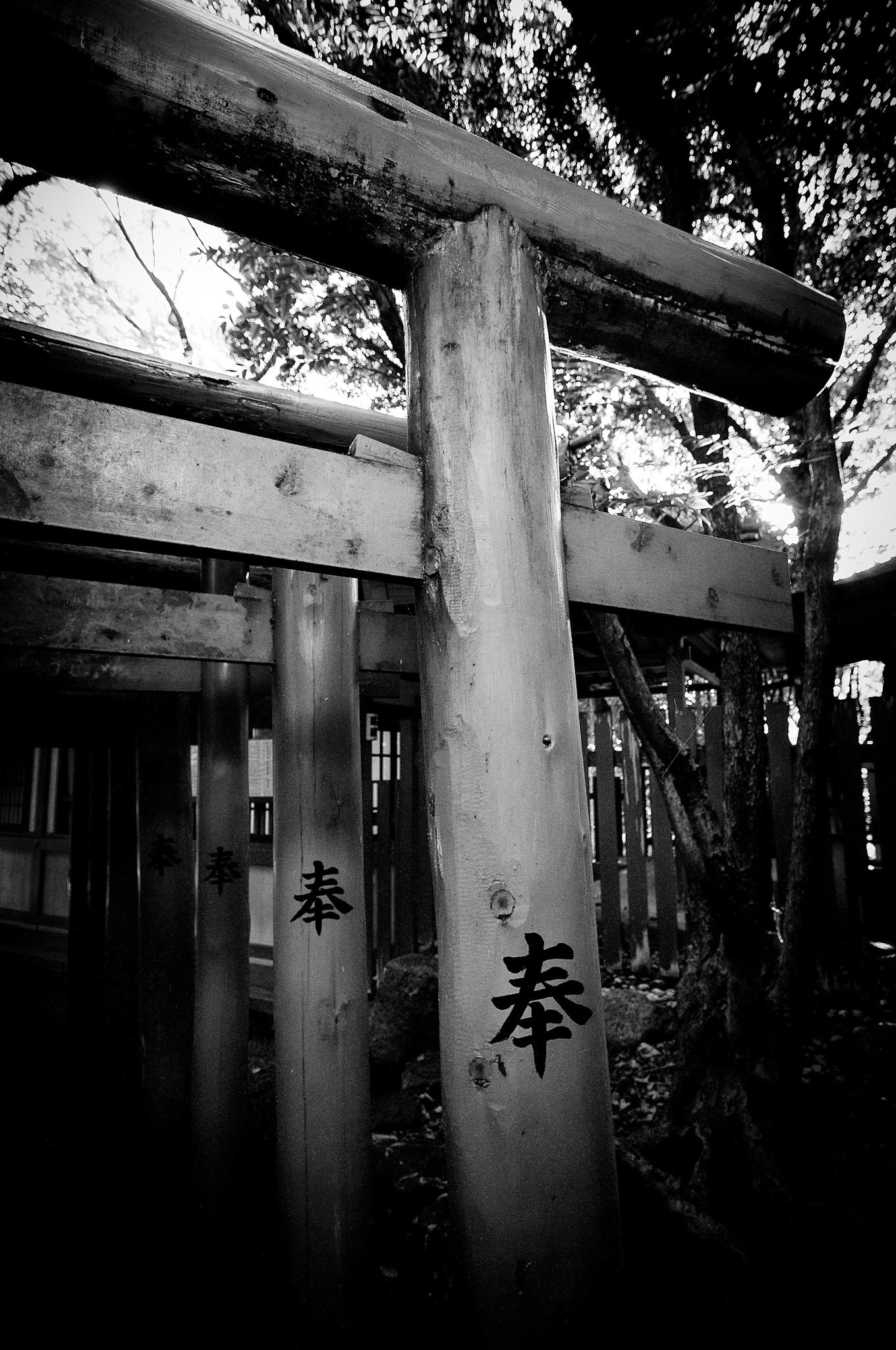 Torii Walk Nagoya Japan 1
