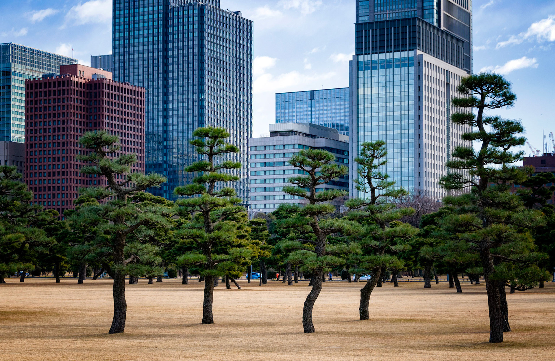 Silent Guardians of the City