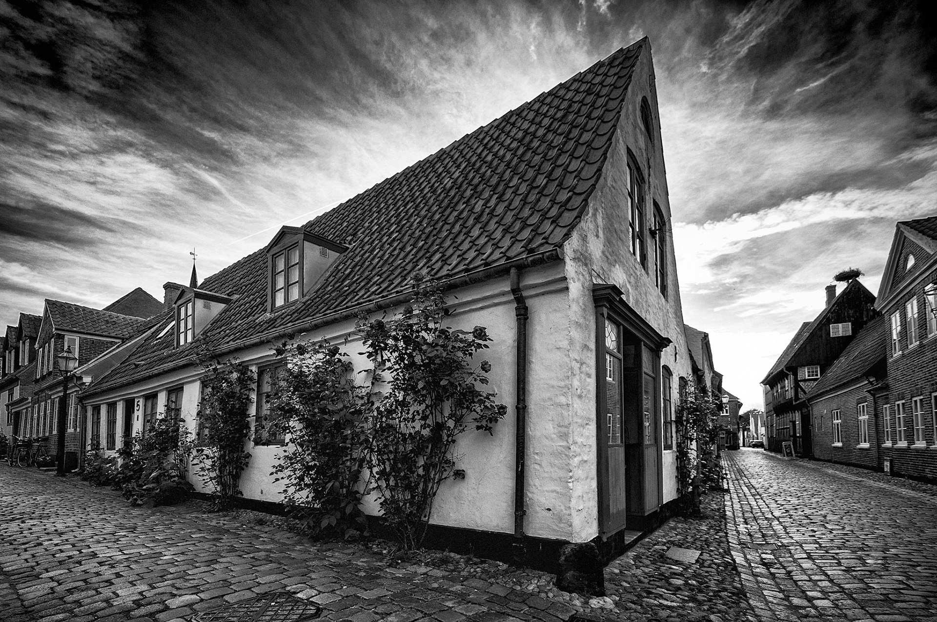 Residential Street Ribe Denmark 1