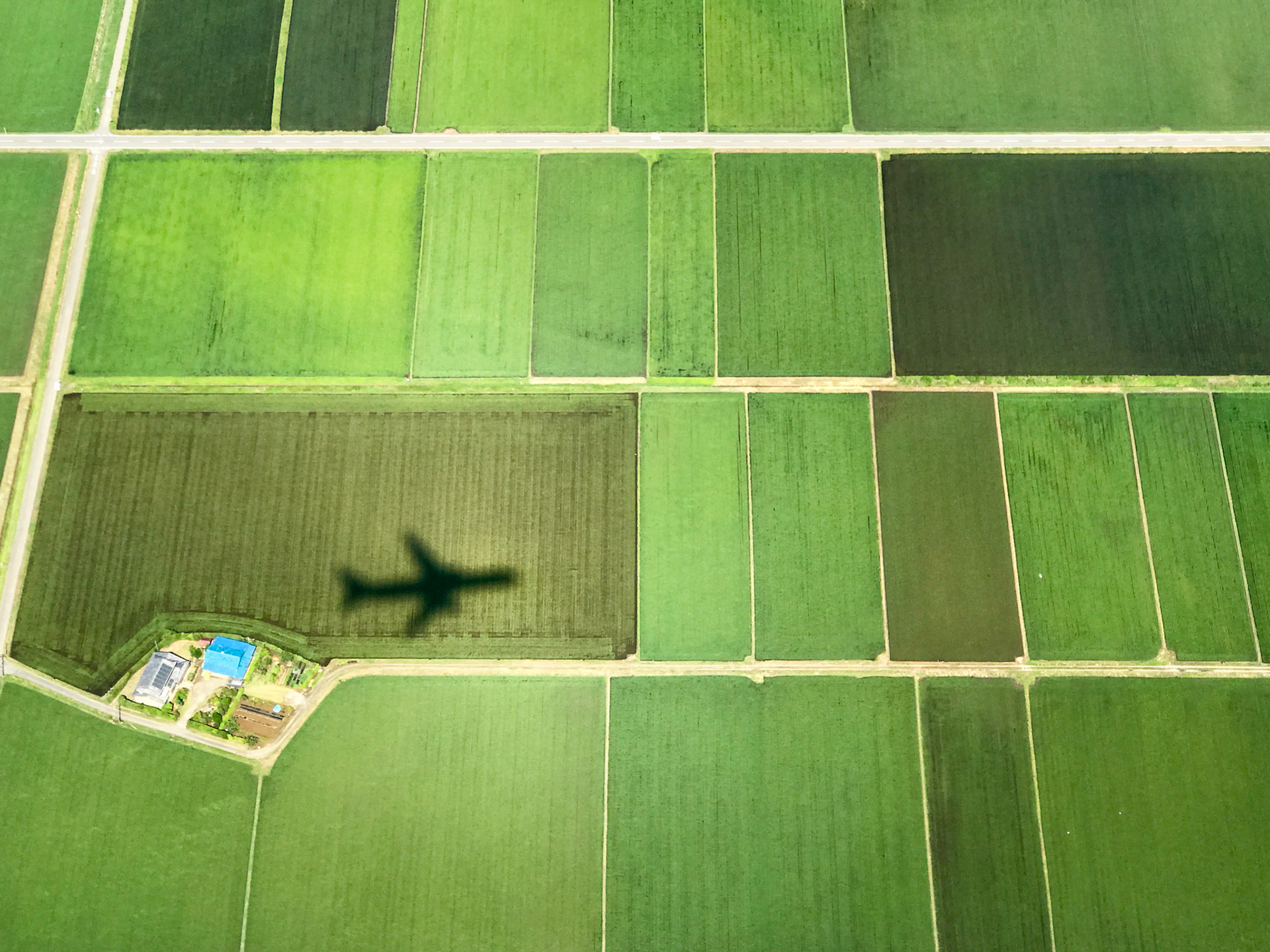 Landing Shadow -Narita Japan