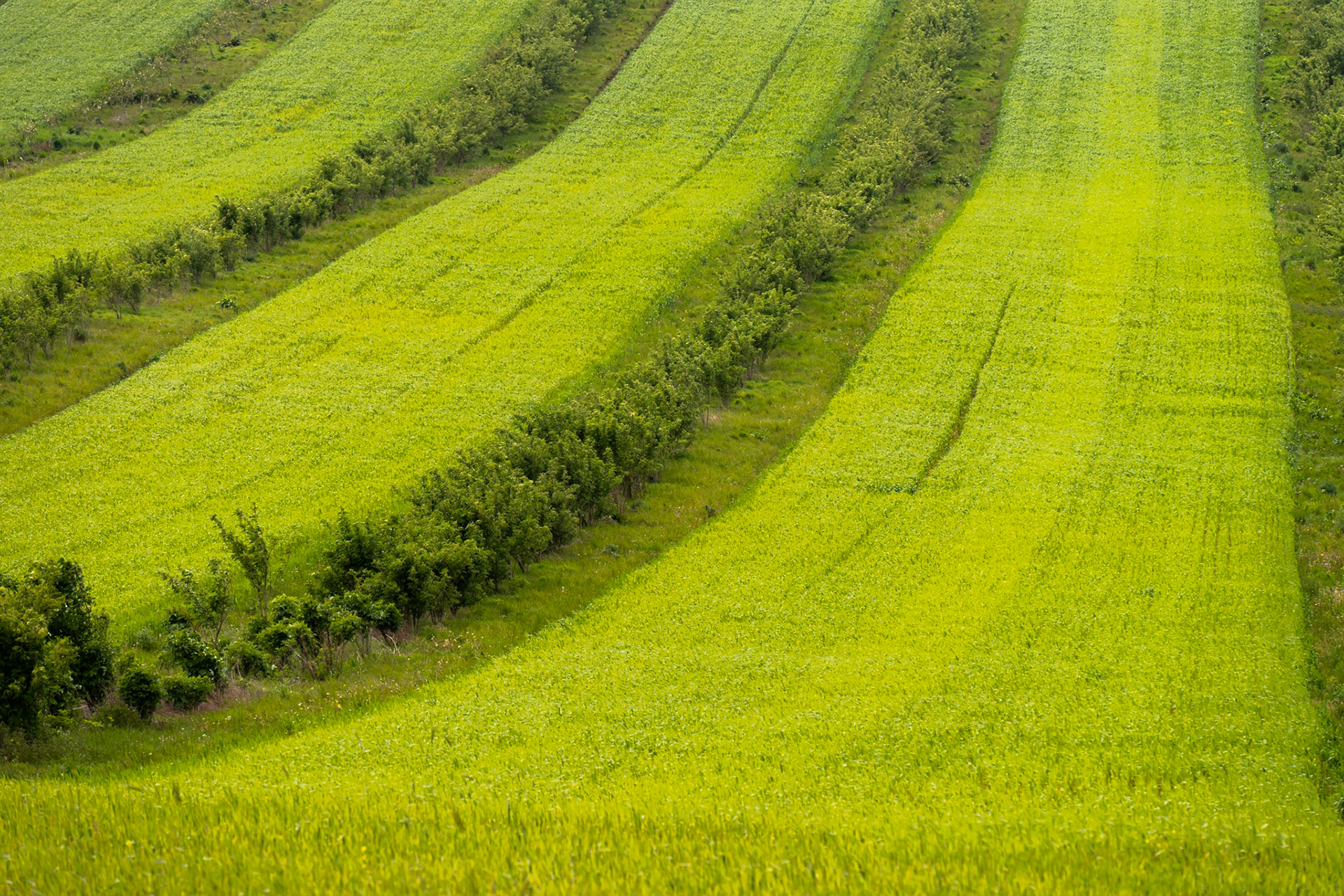 Josh Pratt | https://www.instagram.com/mrjoshpratt/