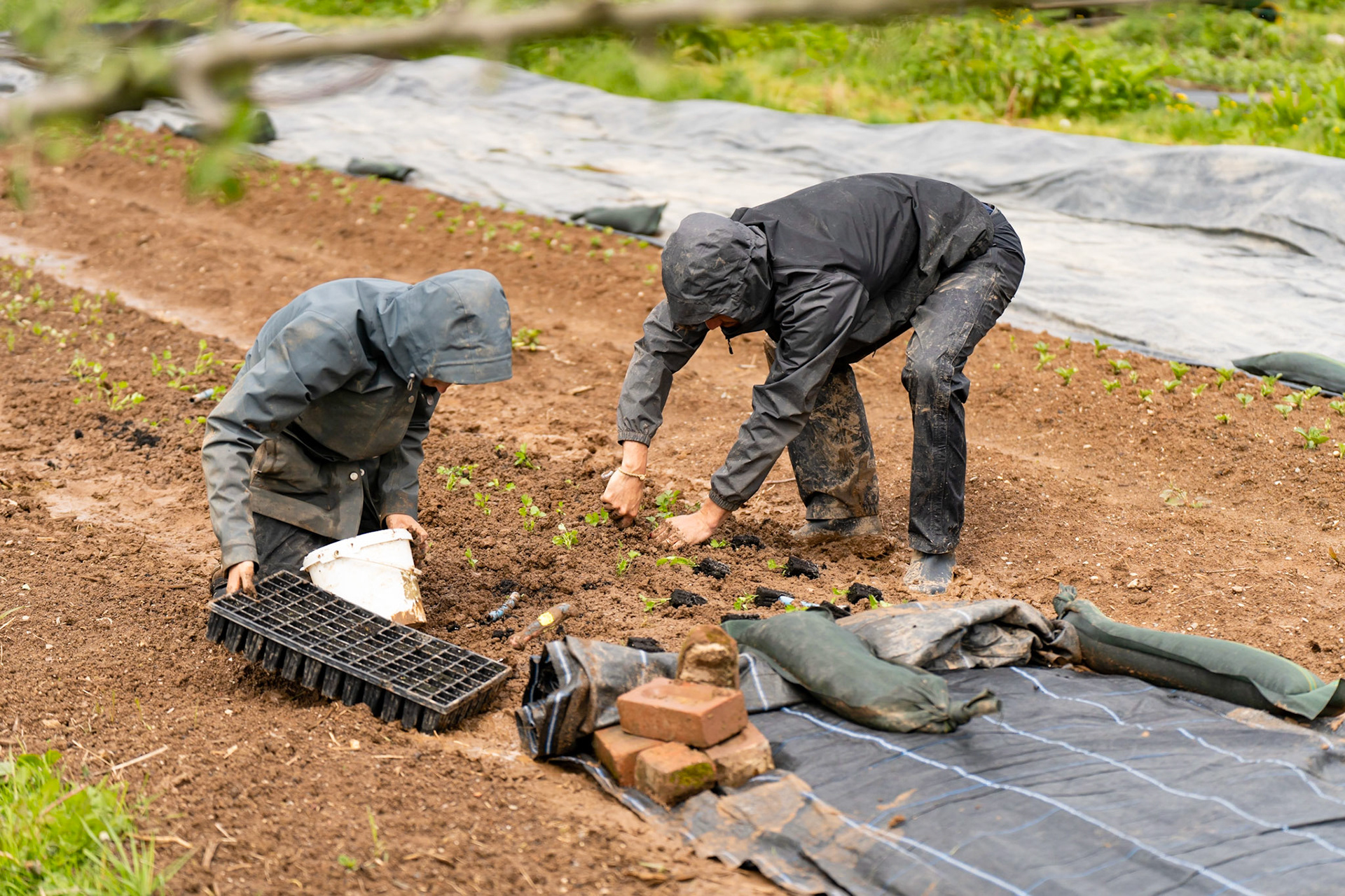 Josh Pratt | https://www.instagram.com/mrjoshpratt/