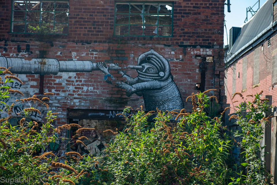 Phlegm