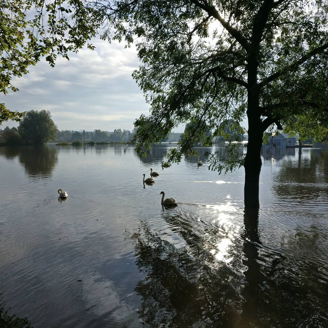 Flooded Cricket Pitch