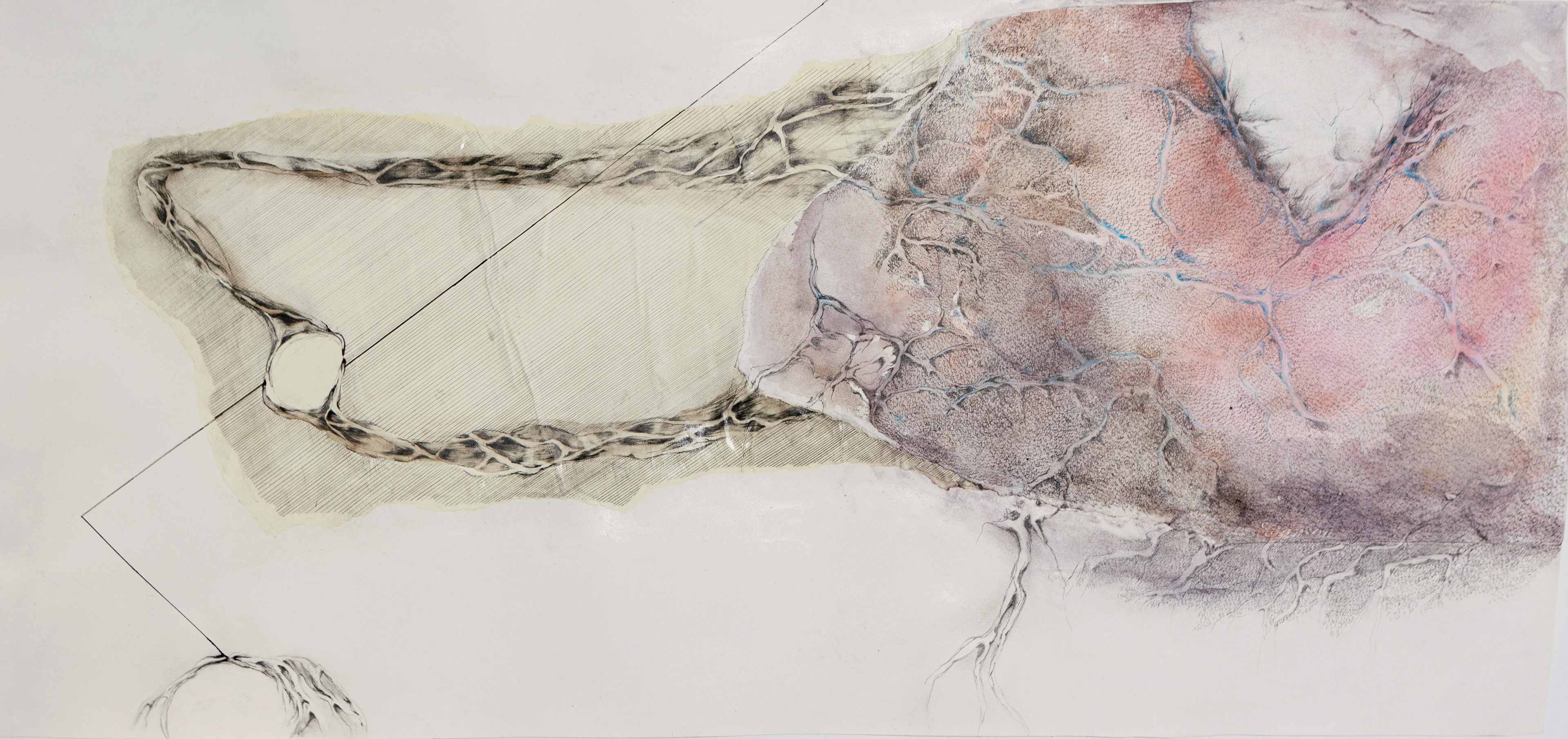 dessin a02 2014 46,5x103cm