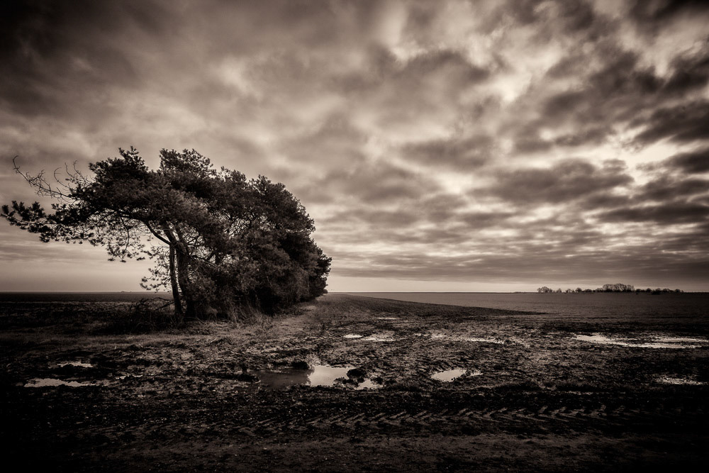 Sea Bank from Roman Sea Bank