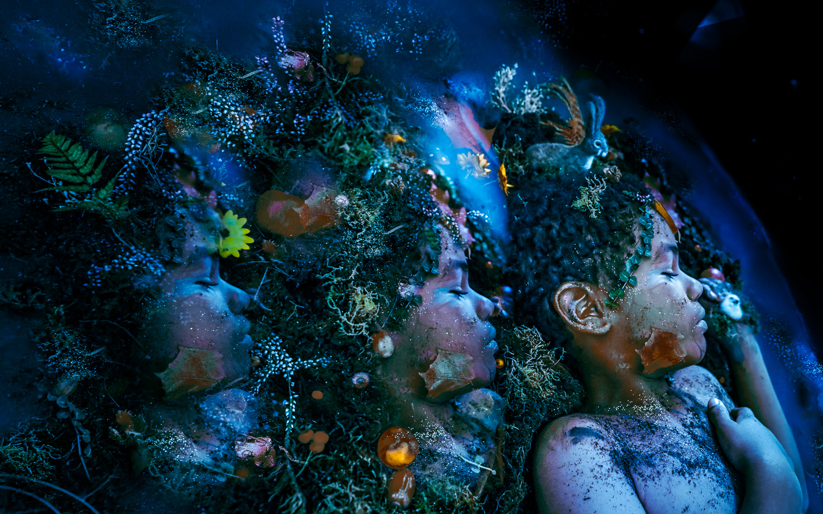 . May I remind you - we only have one earth .