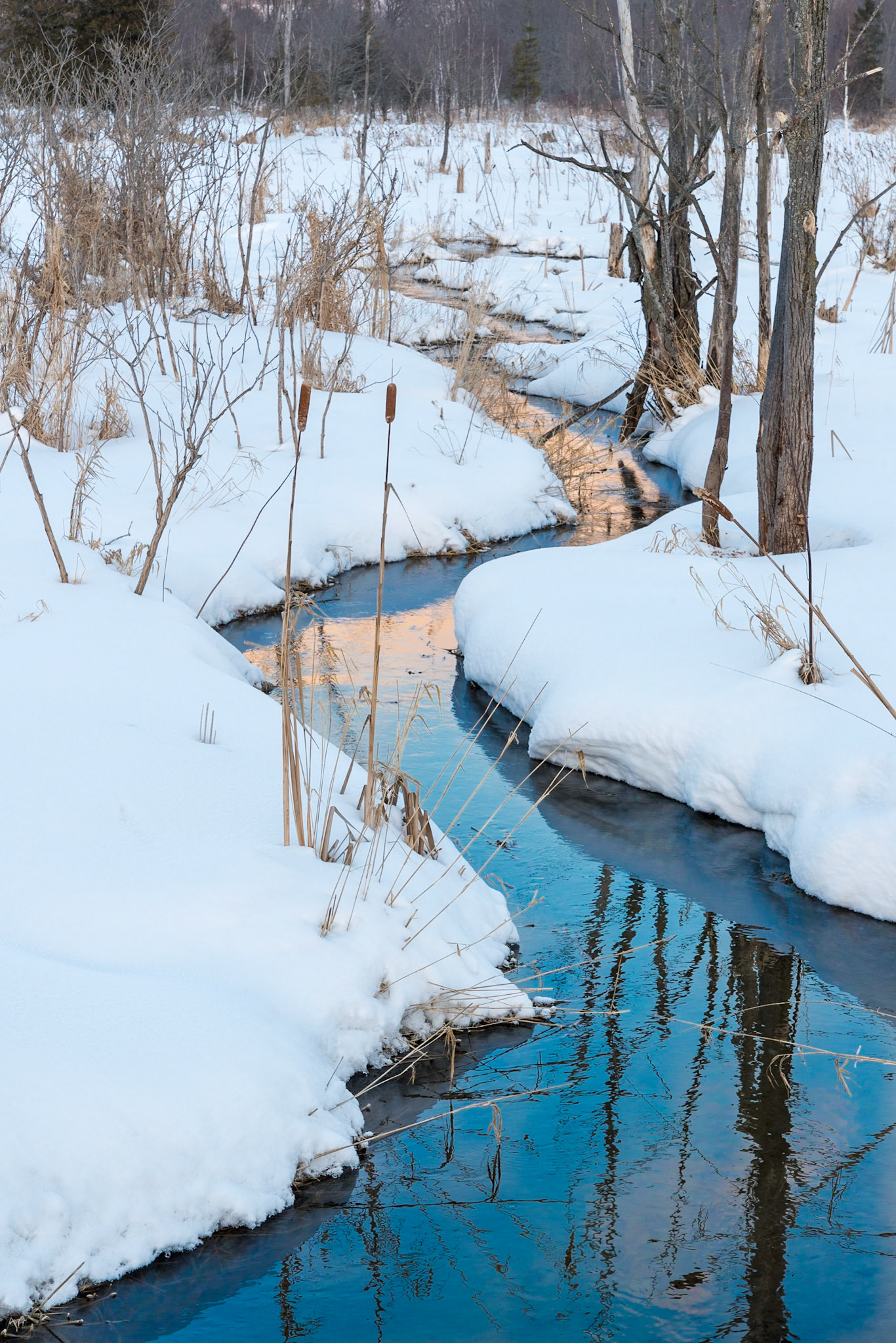 Grey County, Ontario