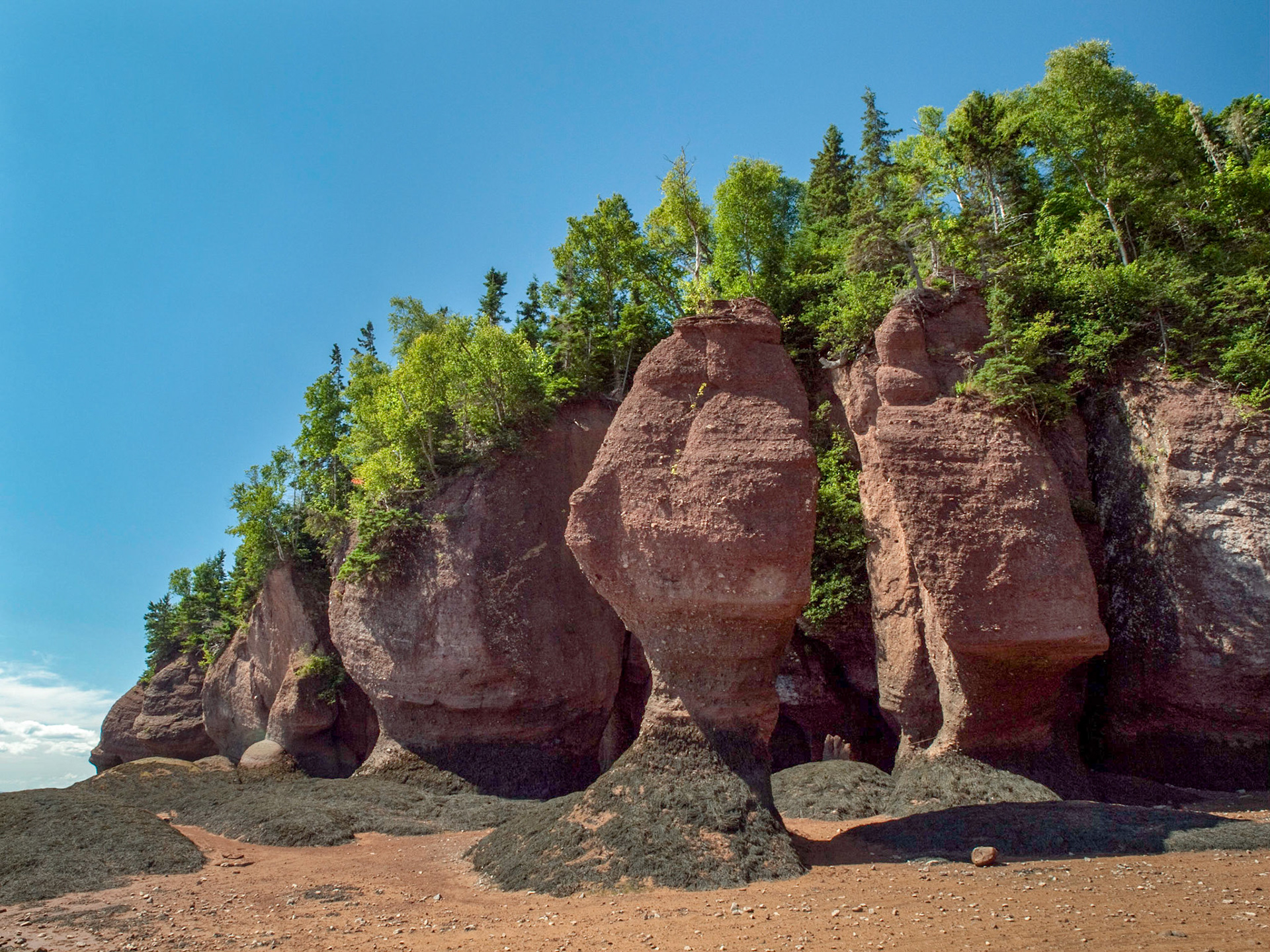 Hopewell Rocks, Fundy Coast, New Brunswick