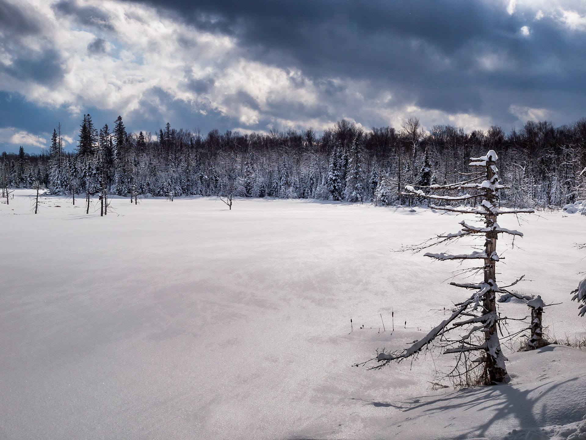 Winter, Bark Lake Leadership Camp, Ontario