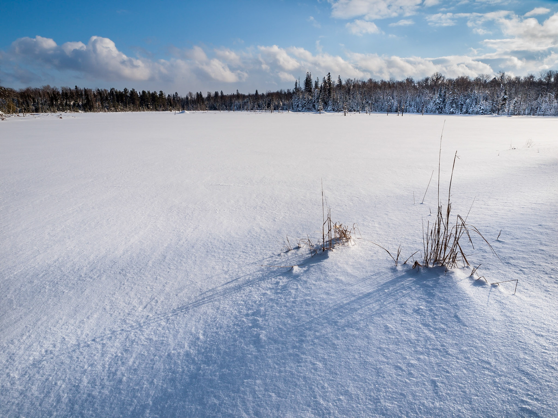 Bark Lake Leadership Centre, Irondale, Ontario