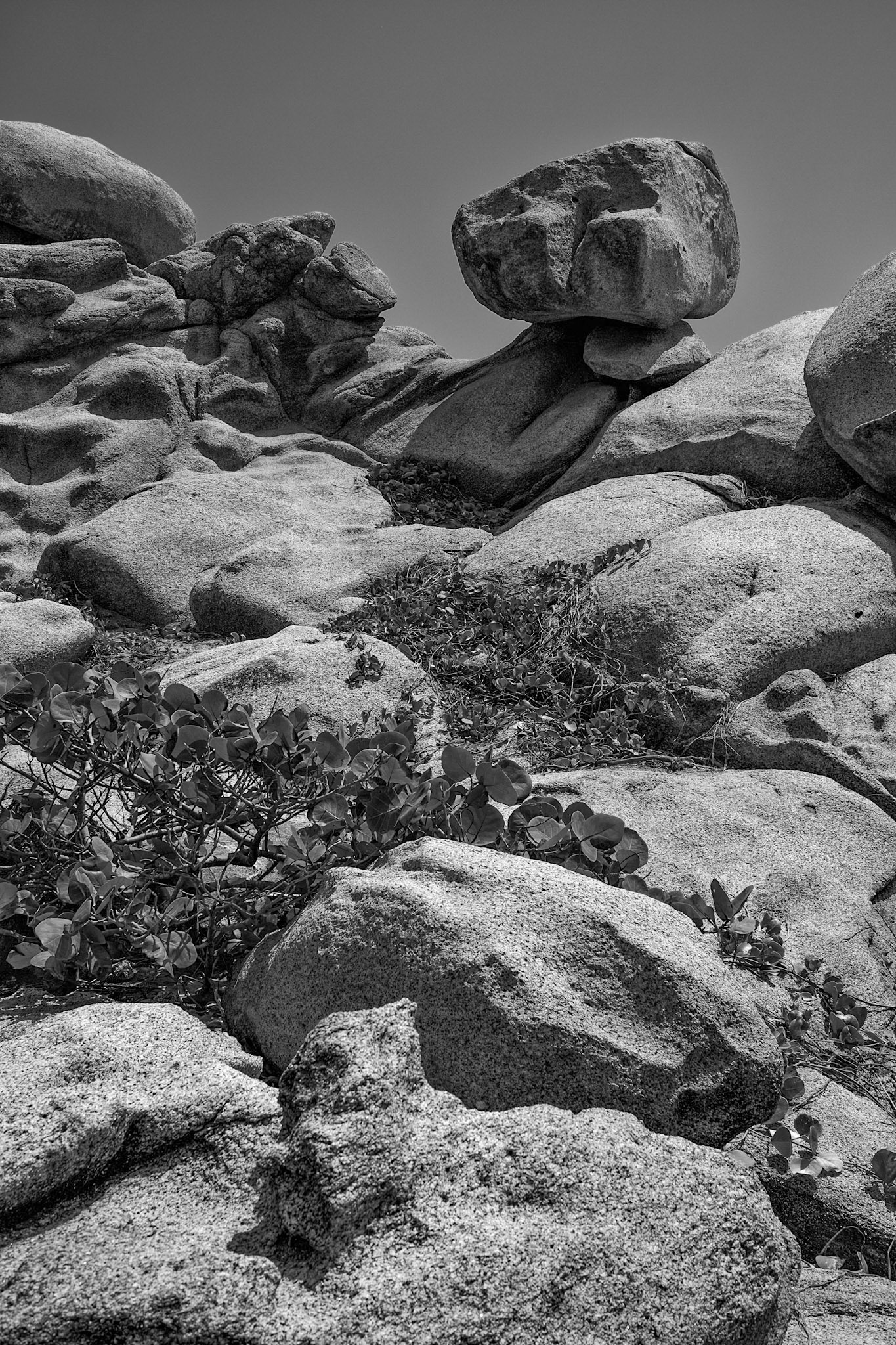 Tayrona