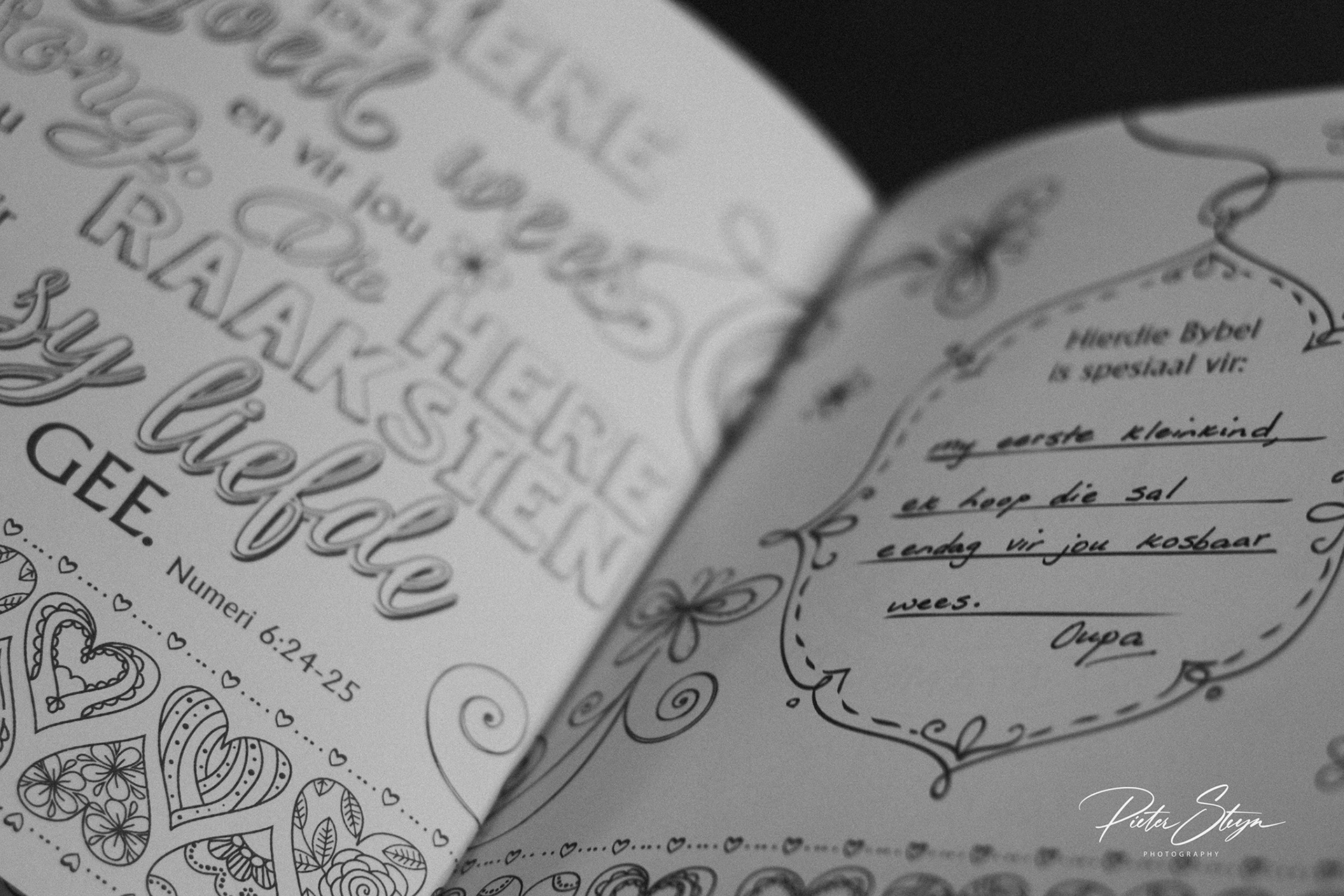 Baby Shower Photography