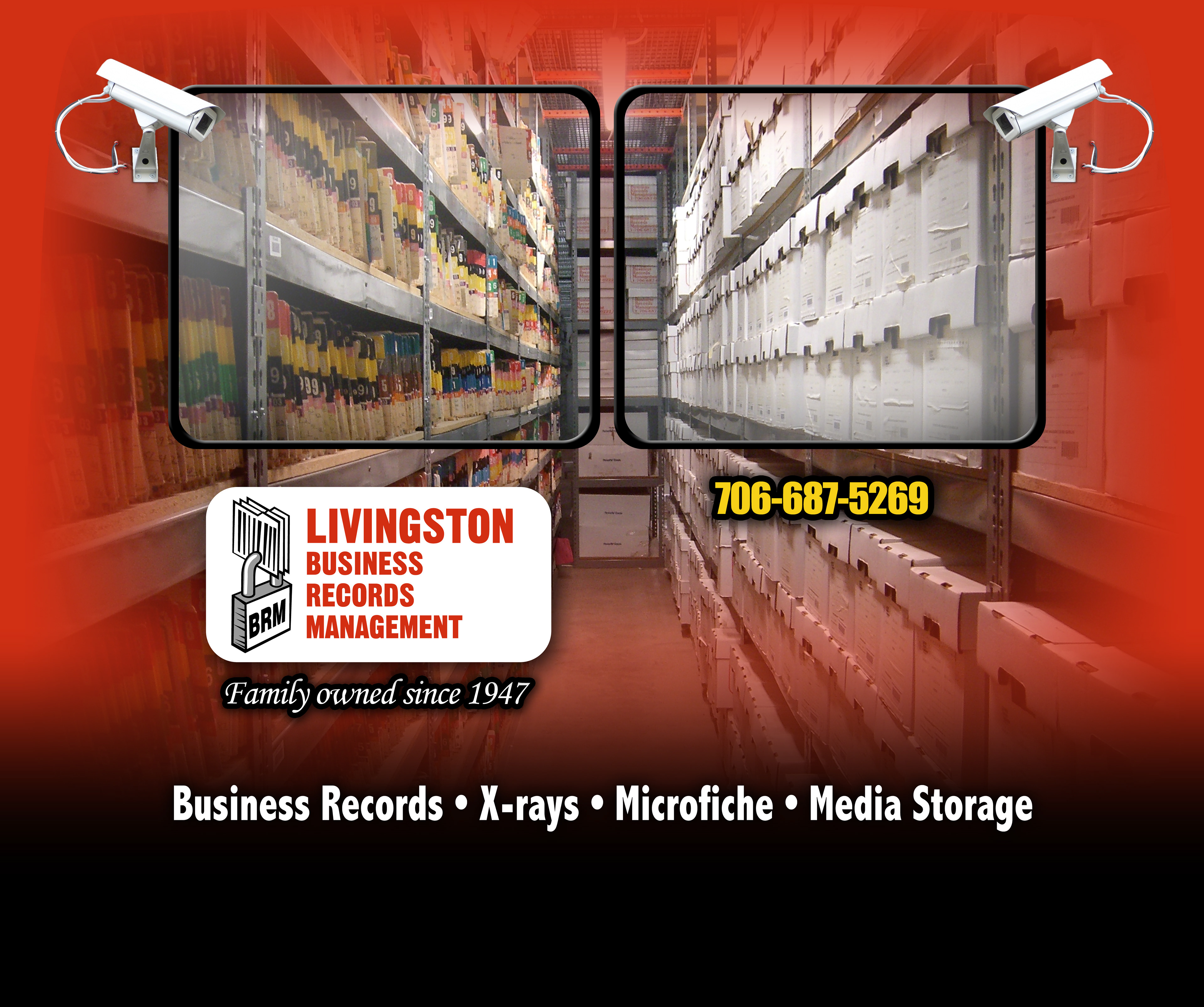 Back door art for Livingston van.