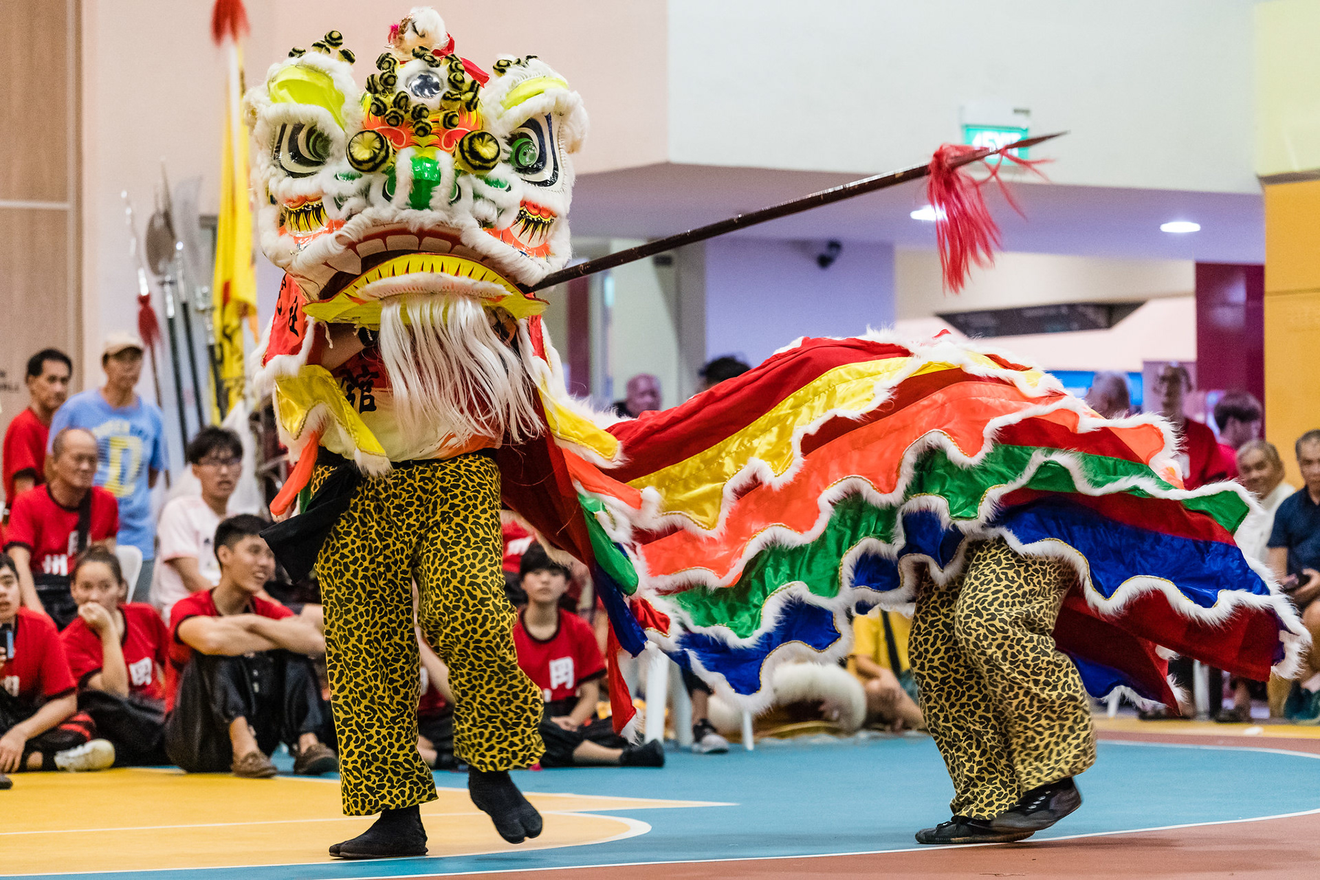 2nd Traditional Lion Dance Display 2018