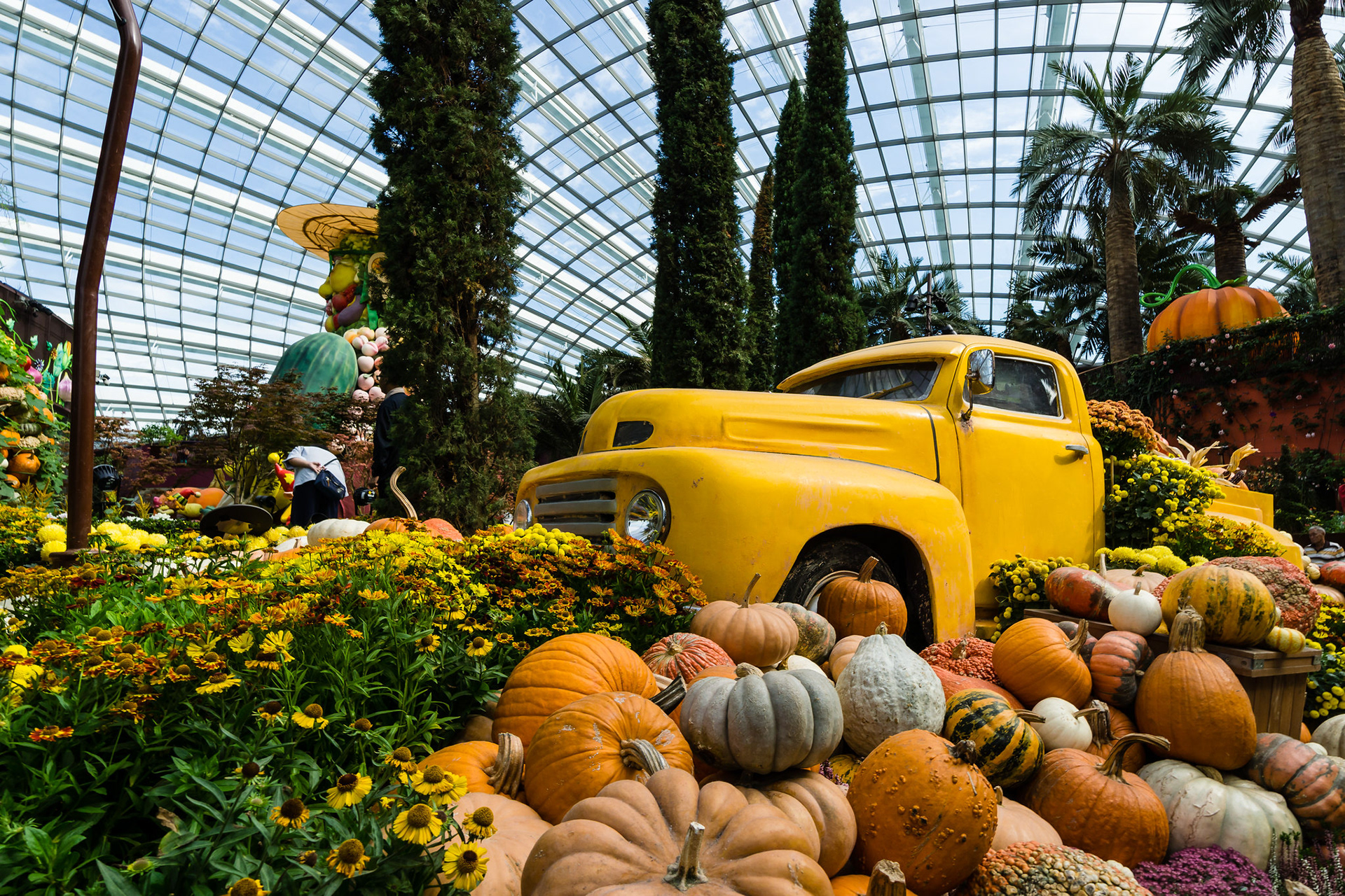 Autumn Harvest 2017