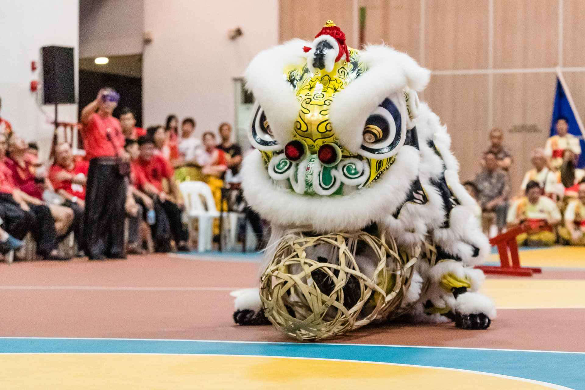 2nd Traditional Lion Dance Display 2018