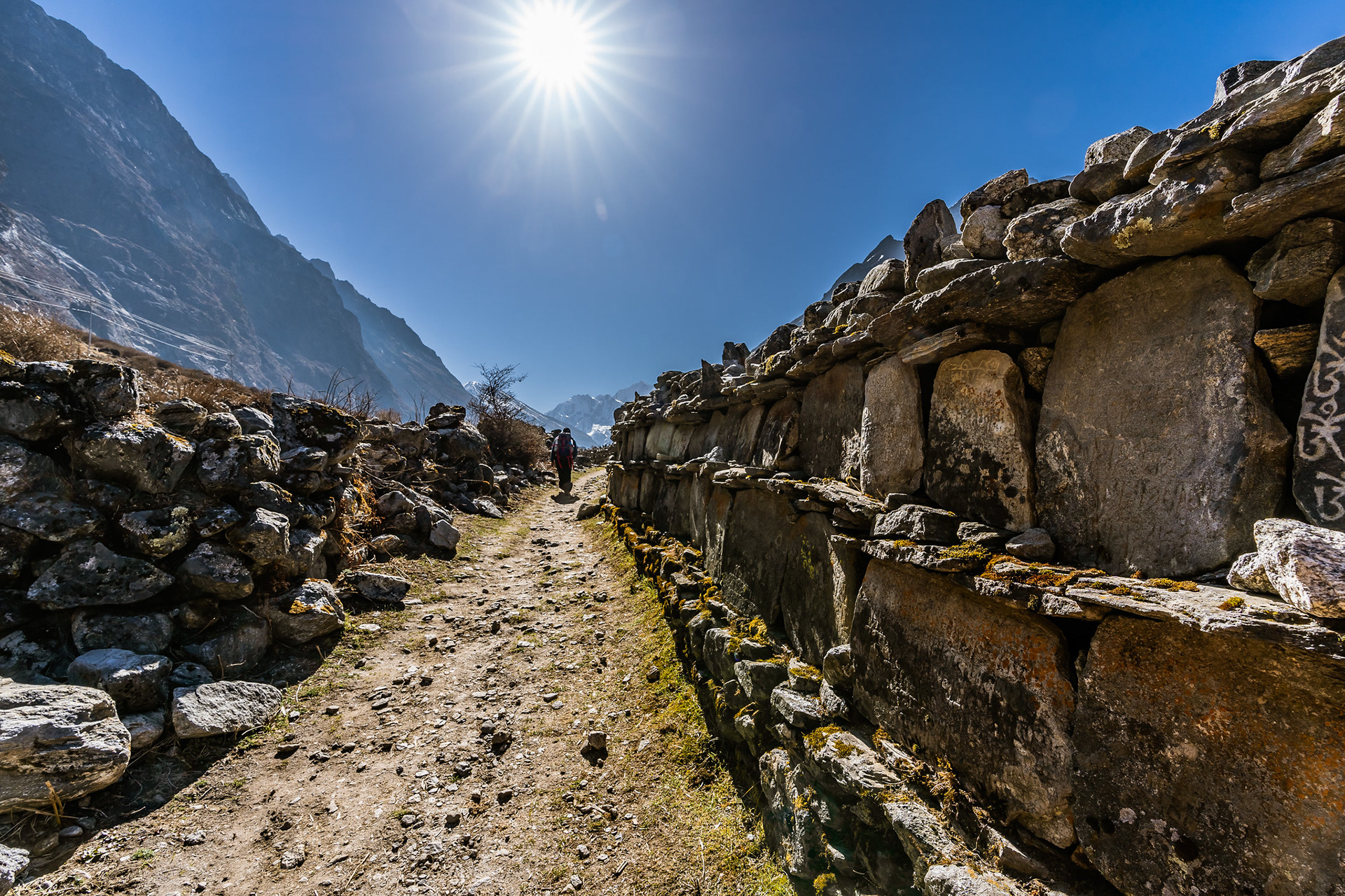 Mani stones dotting the Langtang Valley.