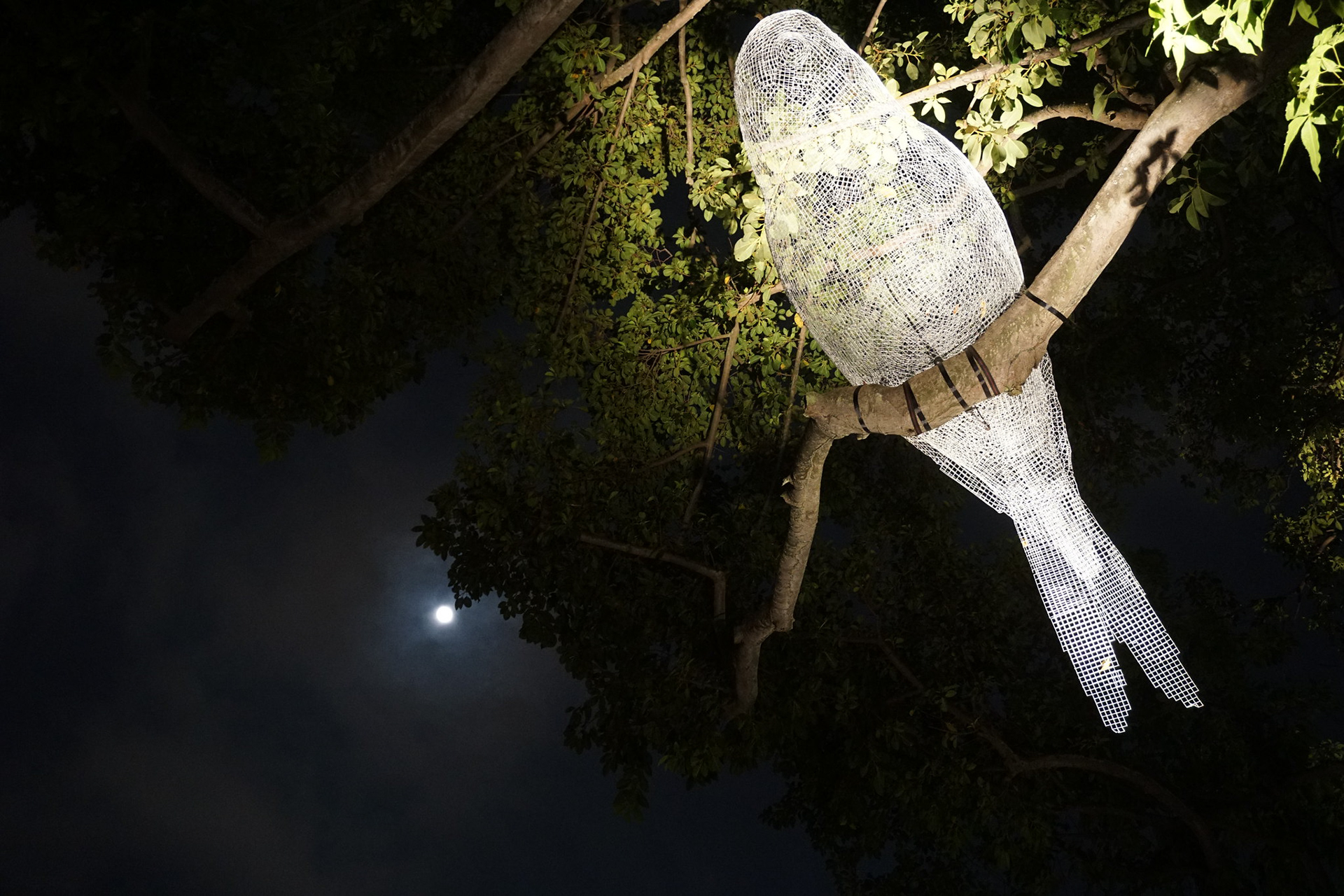 Singapore Night Festival 2015