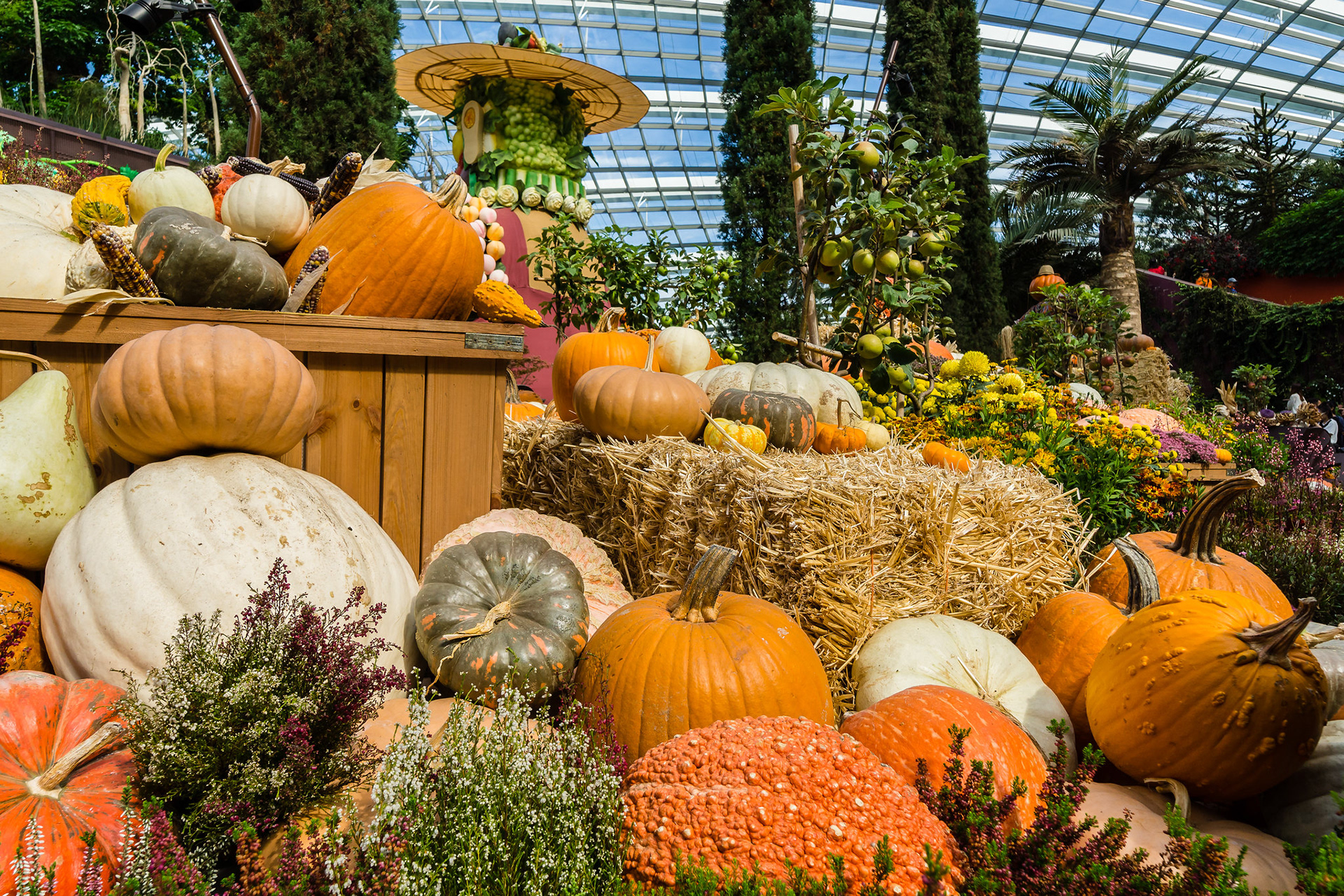 Autumn Harvest 2017