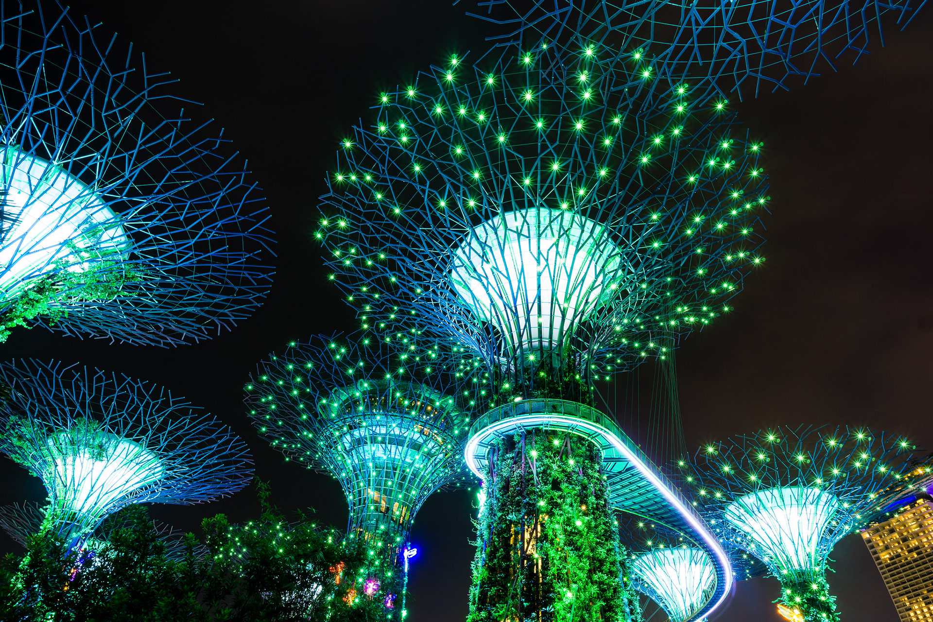 Super Trees