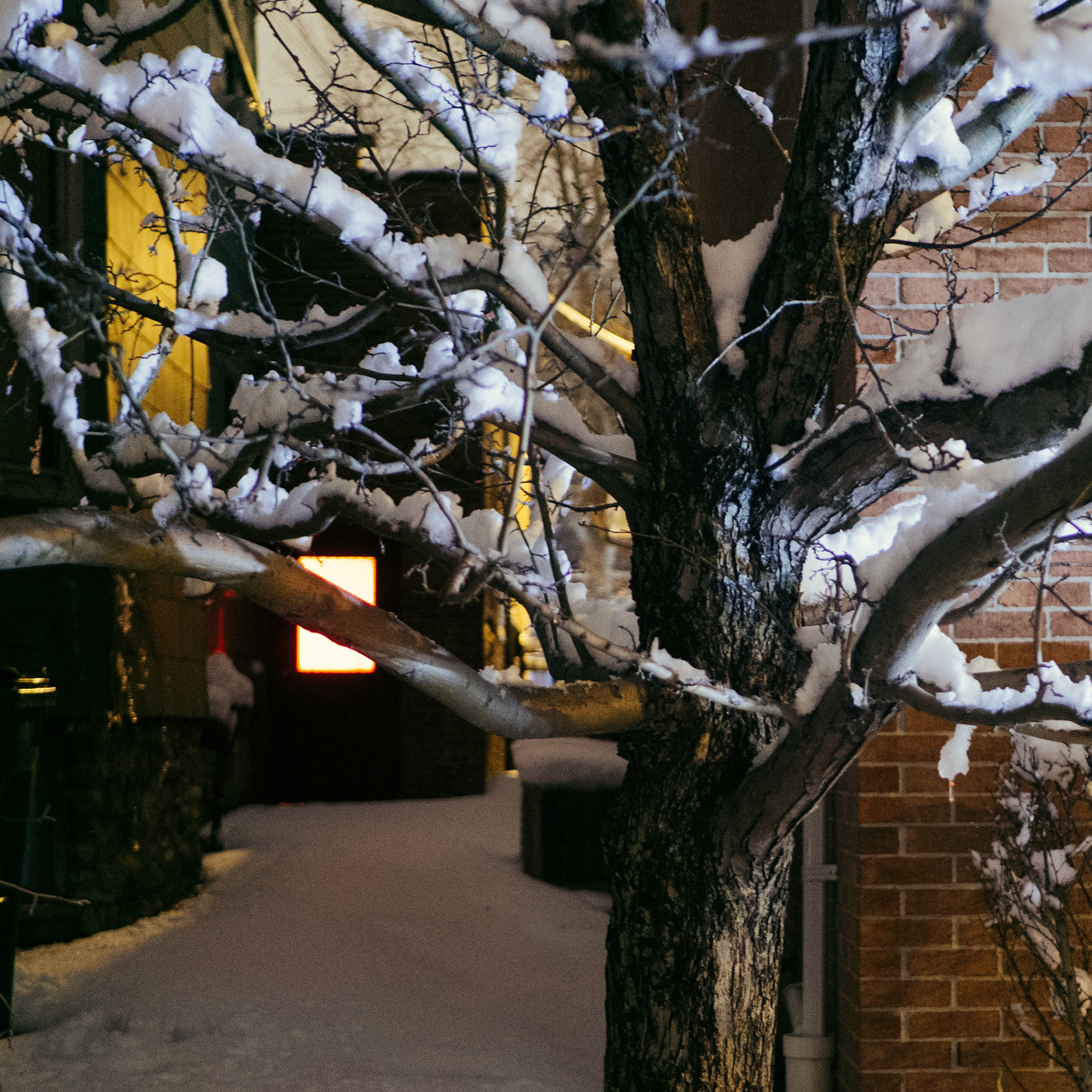 Buffalo, NY