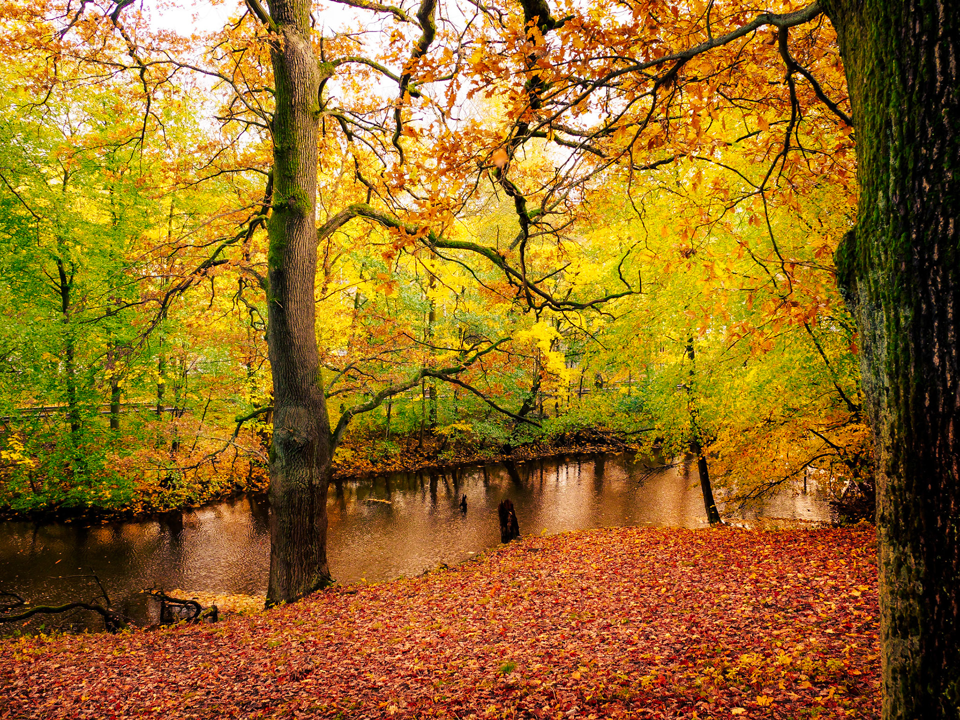 Götebborg Oktober 2020