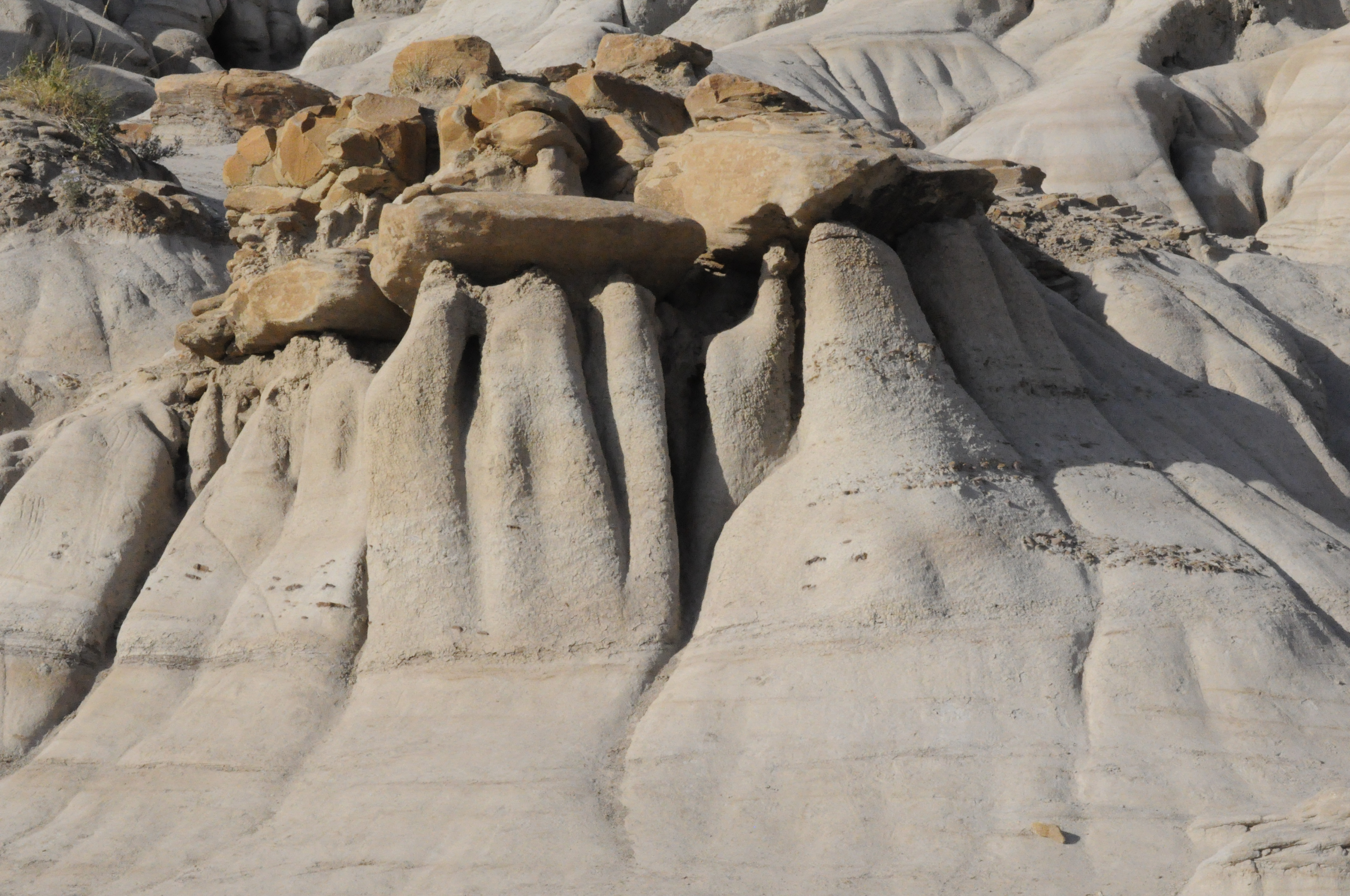 photo example previously considered for board graphics