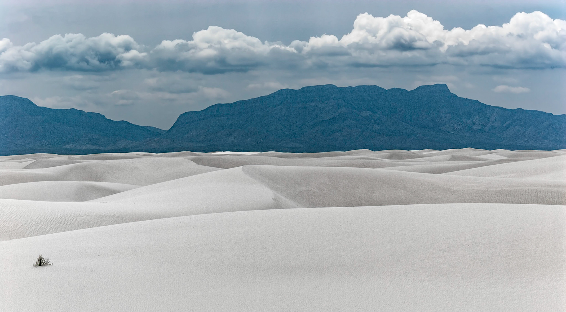 White Sands National Monument, New Mexico. Rising from the heart of the Tularosa Basin is one of the world's great natural wonders - the glistening white sands of New Mexico. Great wave-like dunes of gypsum sand have engulfed 275 square miles of desert, creating the world's largest gypsum dunefield. White Sands National Monument preserves a major portion of this unique dunefield, along with the plants and animals that live here.