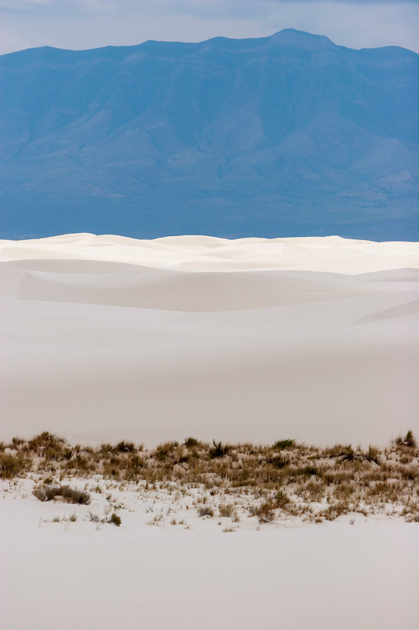 White Sands National Monument, New Mexico. Rising from the heart of the Tularosa Basin is one of the world's great natural wonders - the glistening white sands of New Mexico. Great wave-like dunes of gypsum sand have engulfed 275 square miles of desert, creating the world's largest gypsum dunefield. White Sands National Monument preserves a major portion of this unique dunefield, along with the plants and animals that live here.