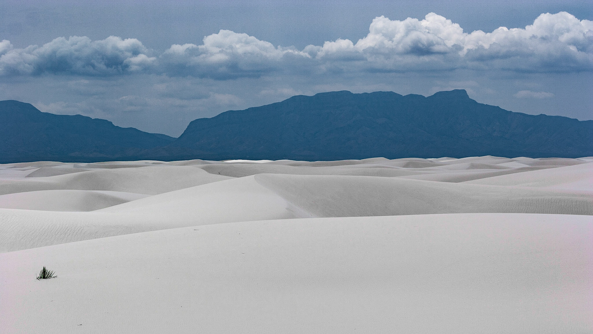 White Sands National Monument, New Mexico. Rising from the heart of the Tularosa Basin is one of the world's great natural wonders - the glistening white sands of New Mexico. Great wave-like dunes of gypsum sand have engulfed 275 square miles of desert, creating the world's largest gypsum dunefield. White Sands National Monument preserves a major portion of this unique dunefield, along with the plants and animals that live here.