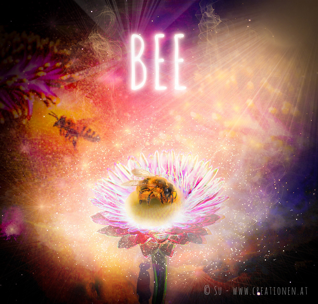 Cosmic Bee