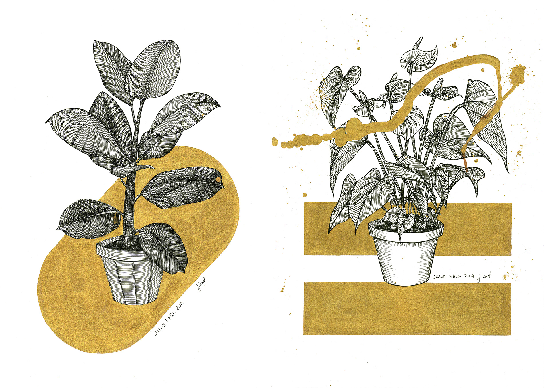 Freelance Designer & Illustrator Julia Karl Online Portfolio - Plant Opulence, Ink illustration, Botanical illustration, black and gold, house plant illustration - Graphic Design & Illustration