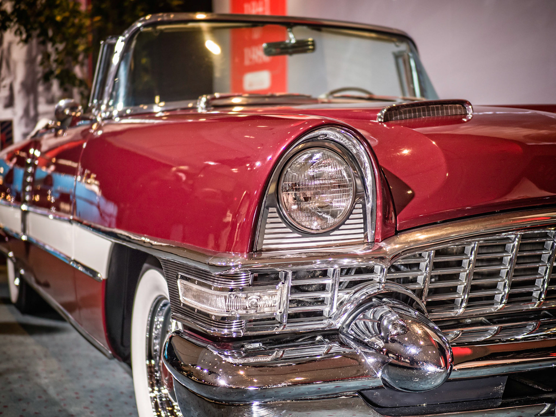 55 Packard Caribbean