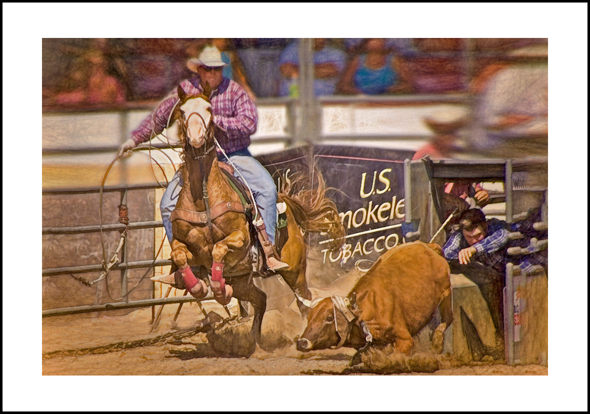 Horses-4x6-90