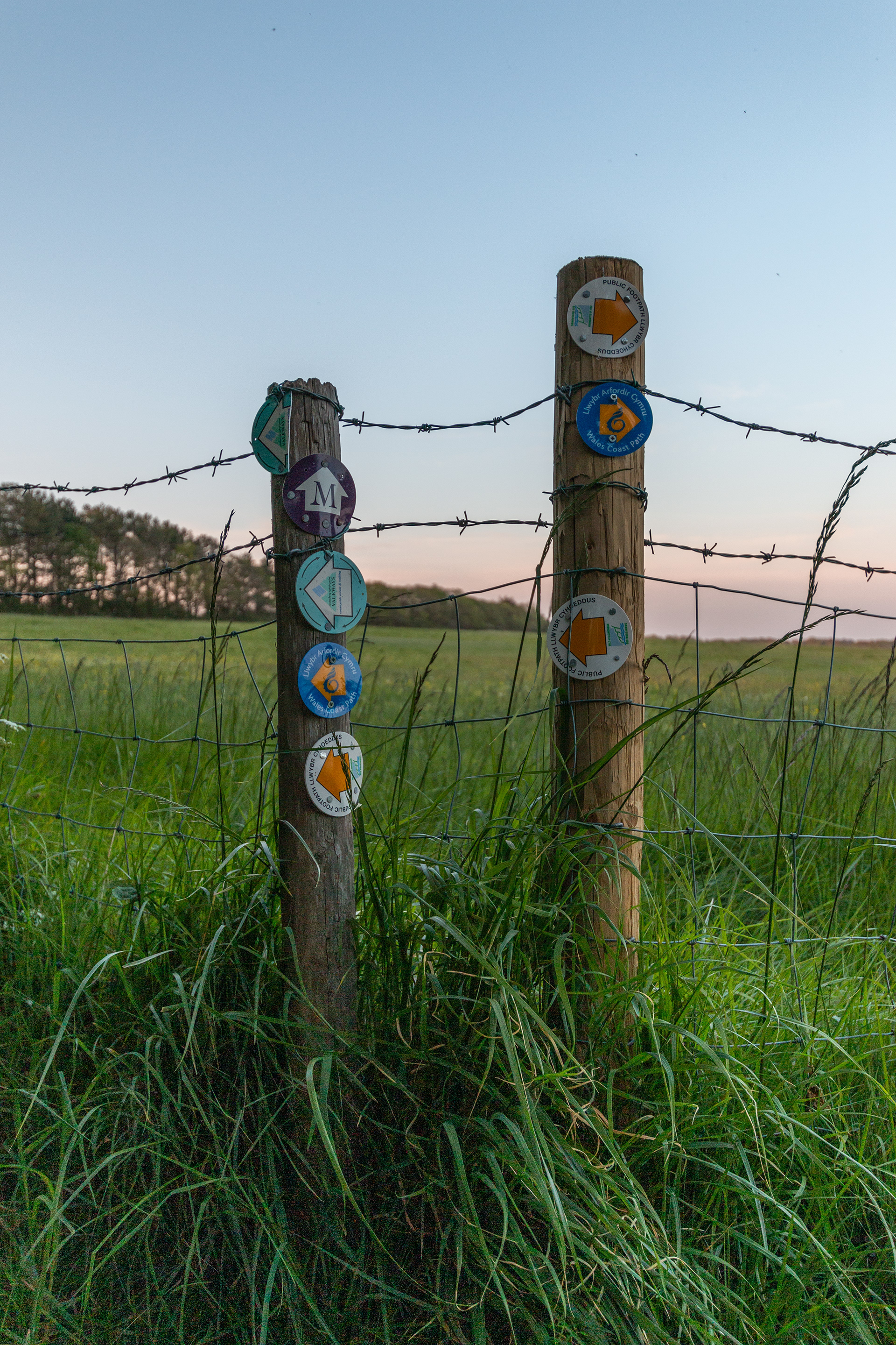 St Donats Path Markers