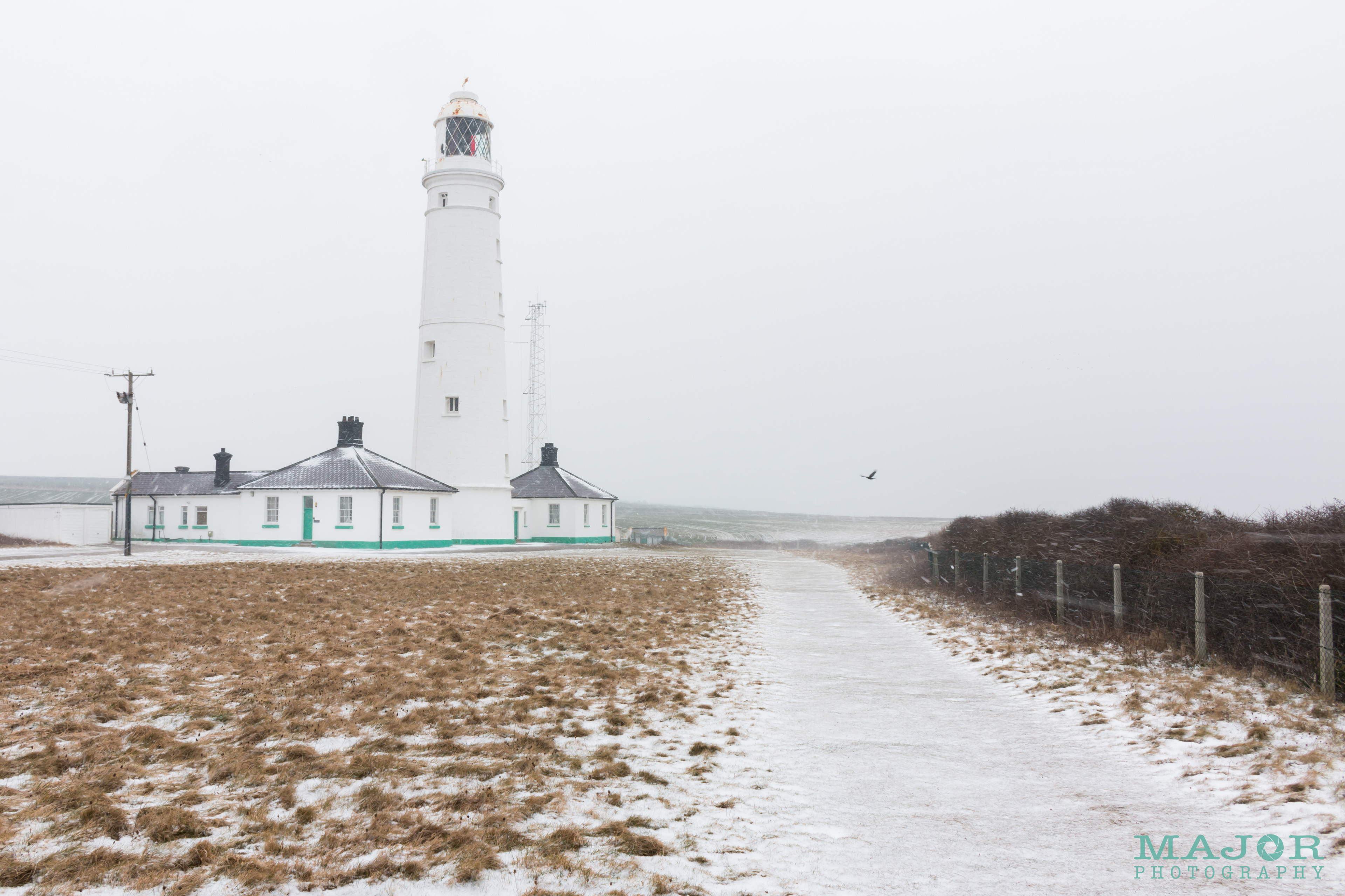 Snowy Lighthouse and Crow
