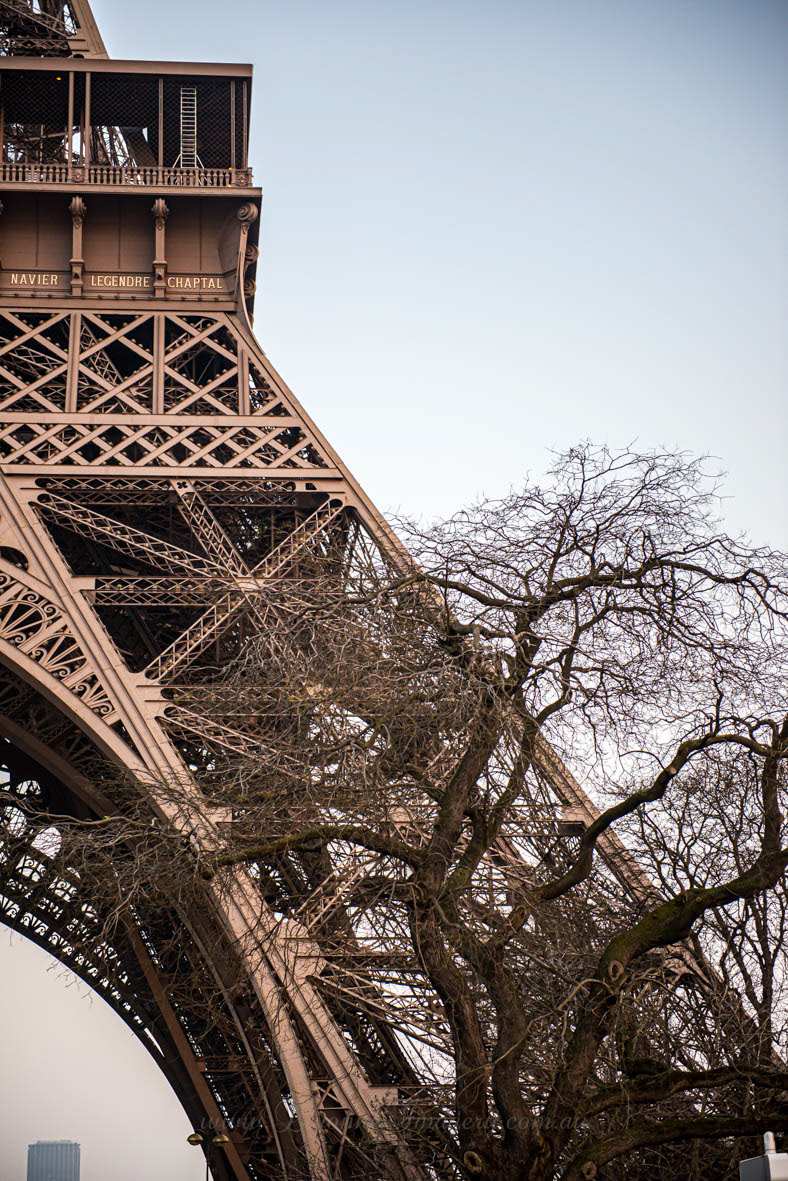 Eiffel Tower